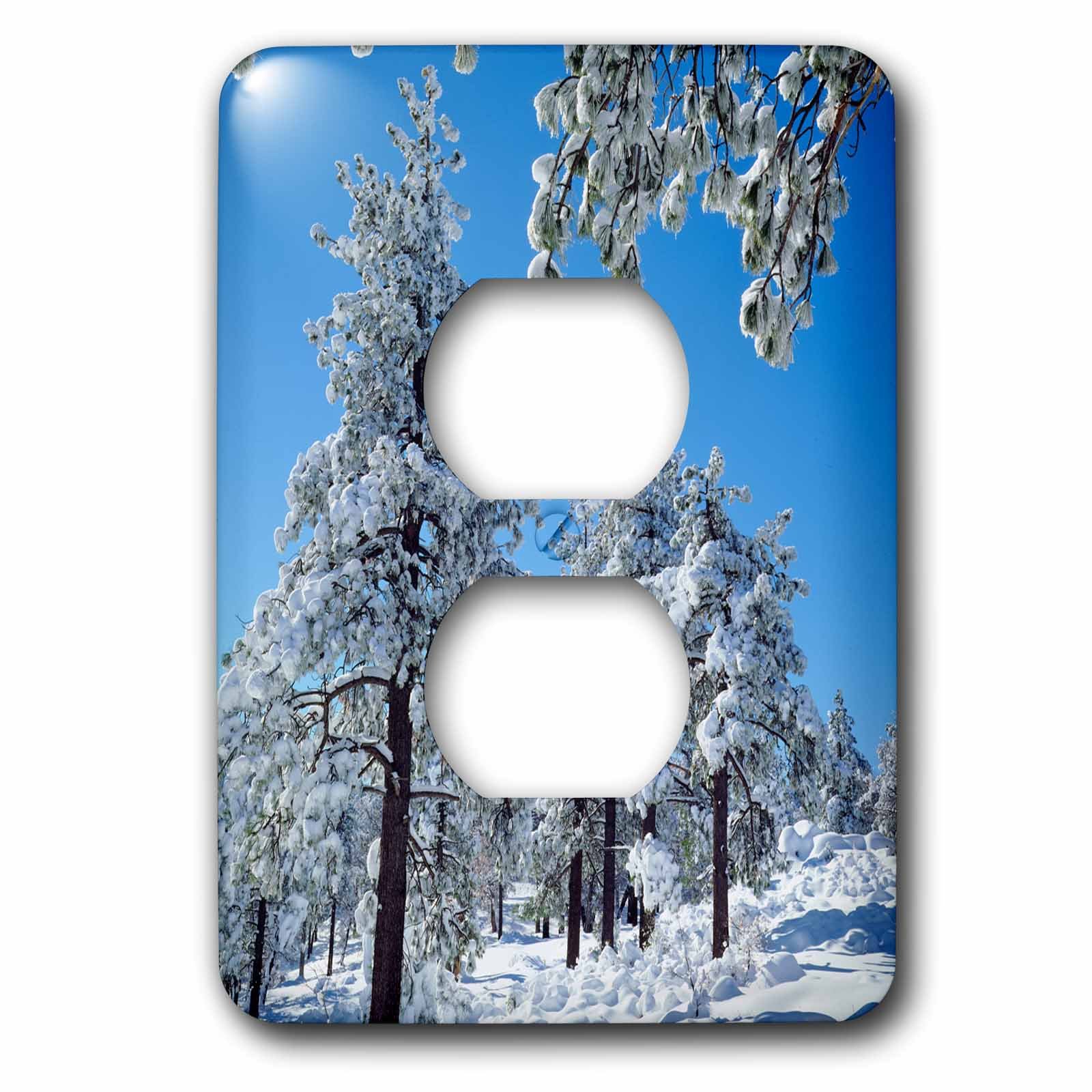 Árboles de invierno USA California San Diego placa para 2 enchufes de pared