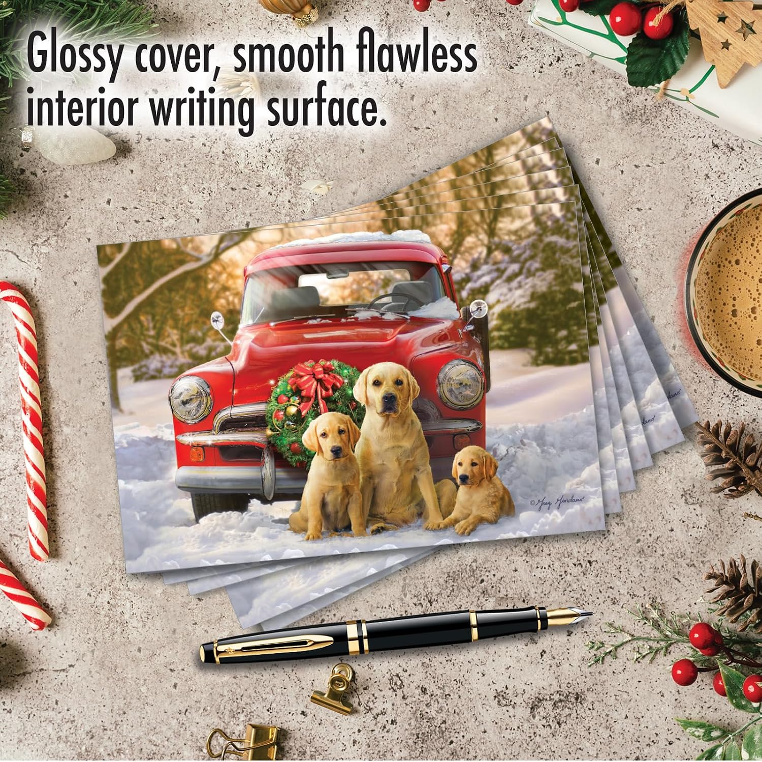 NobleWorks 12 Christmas Greeting Cards Box Set w/ 5 x 7 Envelopes 1x12 Designs Holiday Trucks and Labs - Family C10185IXSG-B12x1