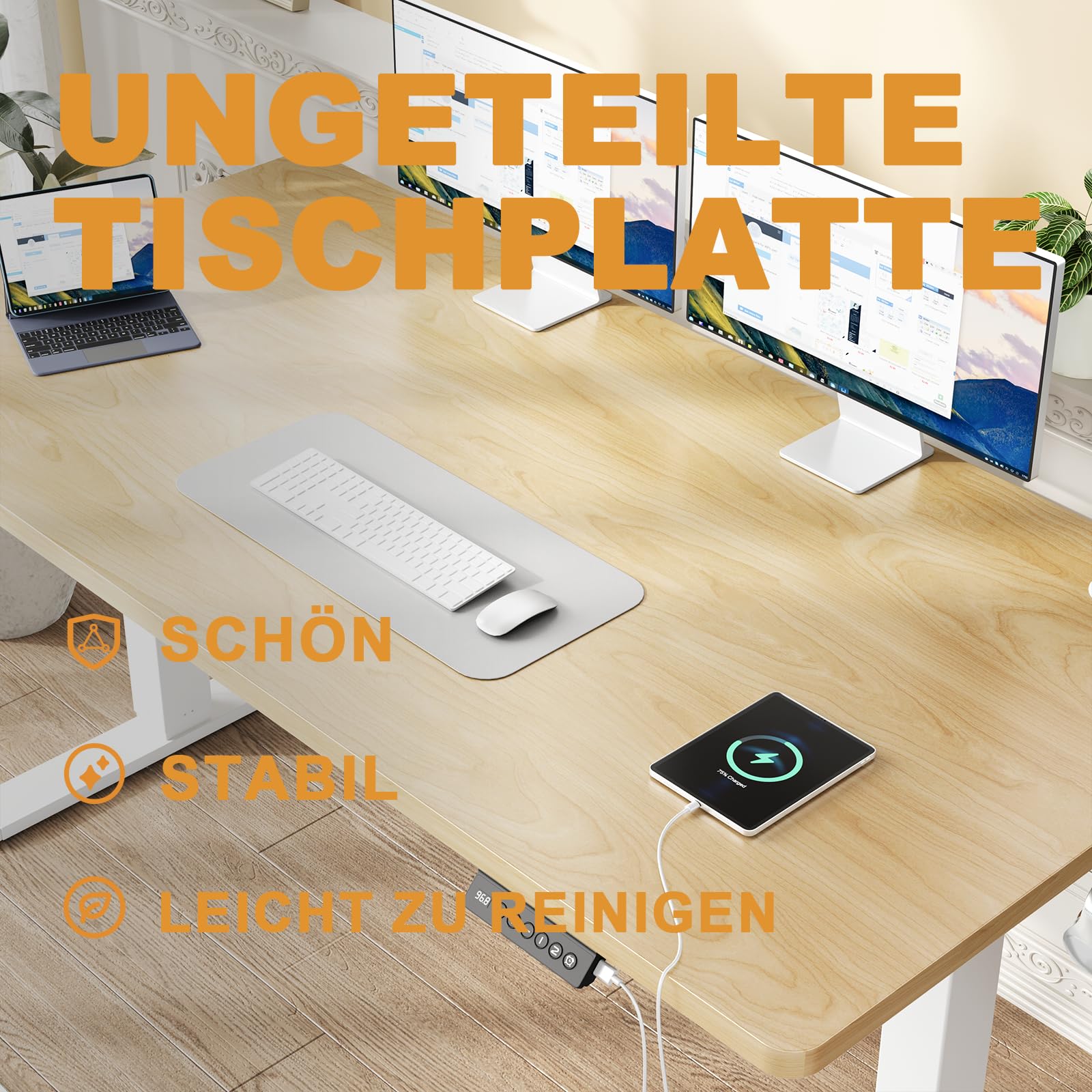Flamaker Höhenverstellbarer Schreibtisch Ganze Tischplatte 110 x 53 cm Elektrischer Schreibtisch Höhenverstellbar für Steh-Sitz, Computertisch mit Memory-Funktion,Standing Desk,Beige