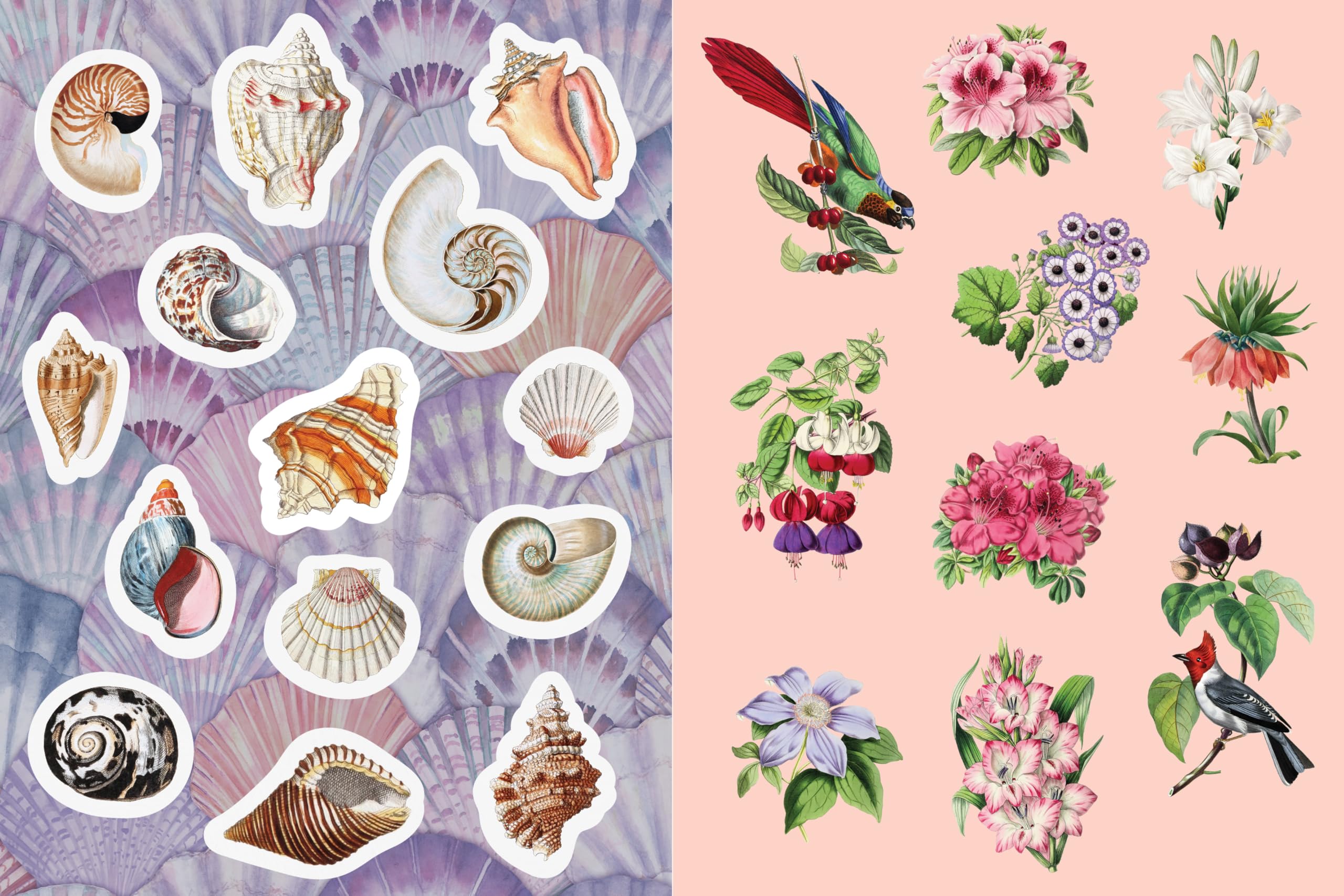 Antiquities Sticker, Color & Activity Book: Over 200 Unique Stickers - Image 5