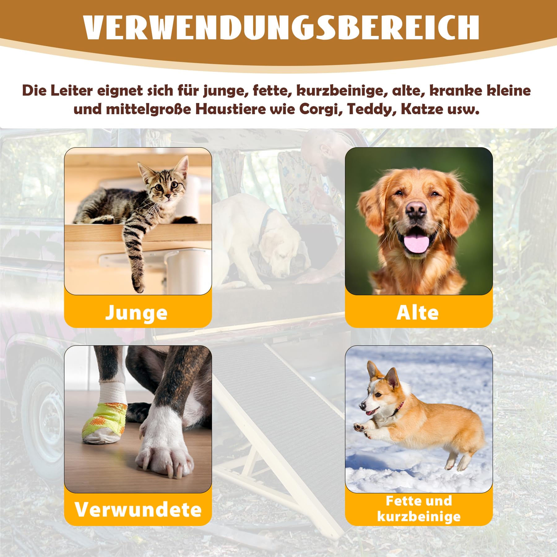 Froadp Scaletta per Cani di Piccola Taglia Rampa per Cani in Legno di Pino con Tappeto Antiscivolo Scale Pieghevoli per Gatti Regolabile in Altezza Animali Domestici Scala per Letto o Divano