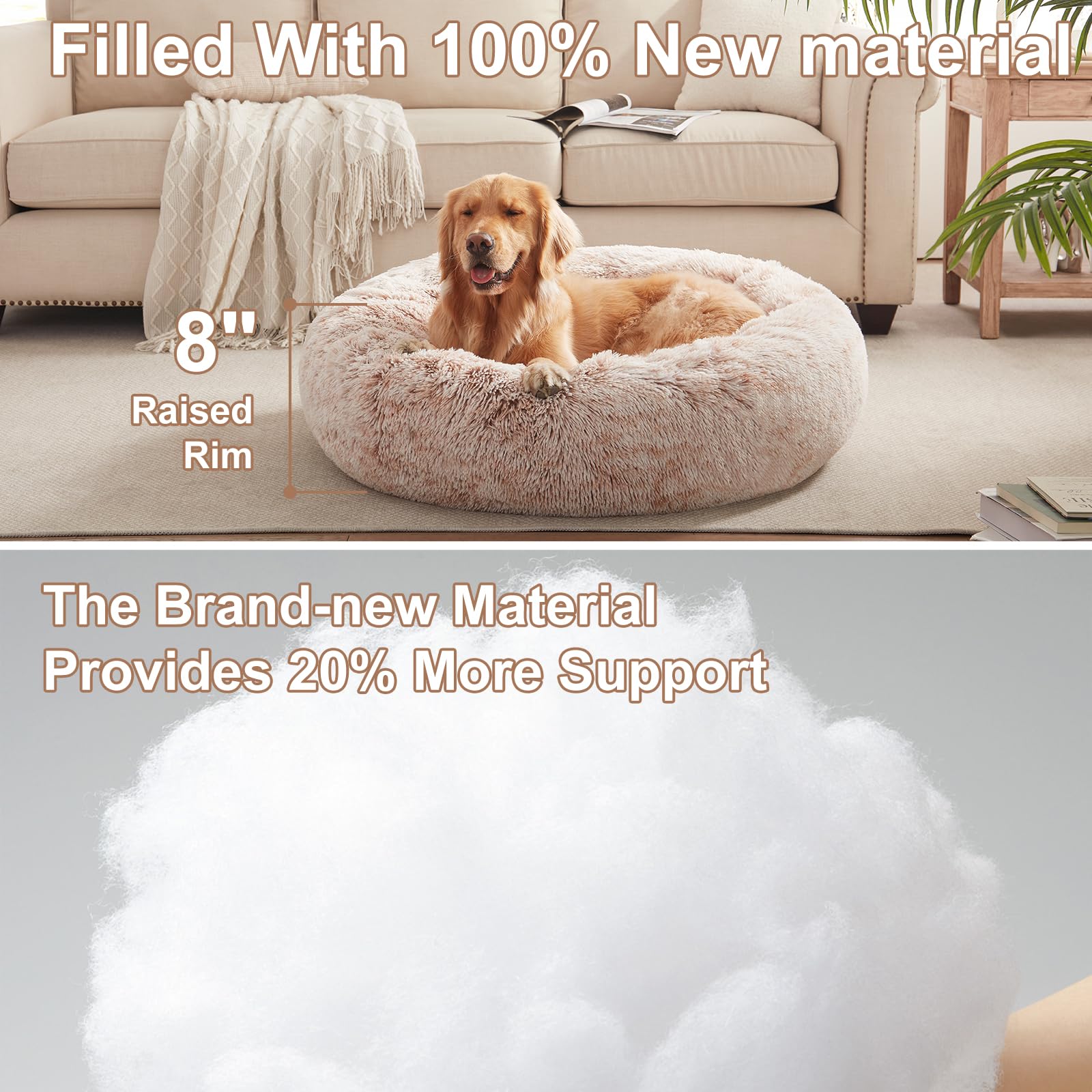 https://m.media-amazon.com/images/I/81G7wNb9ekL.jpg