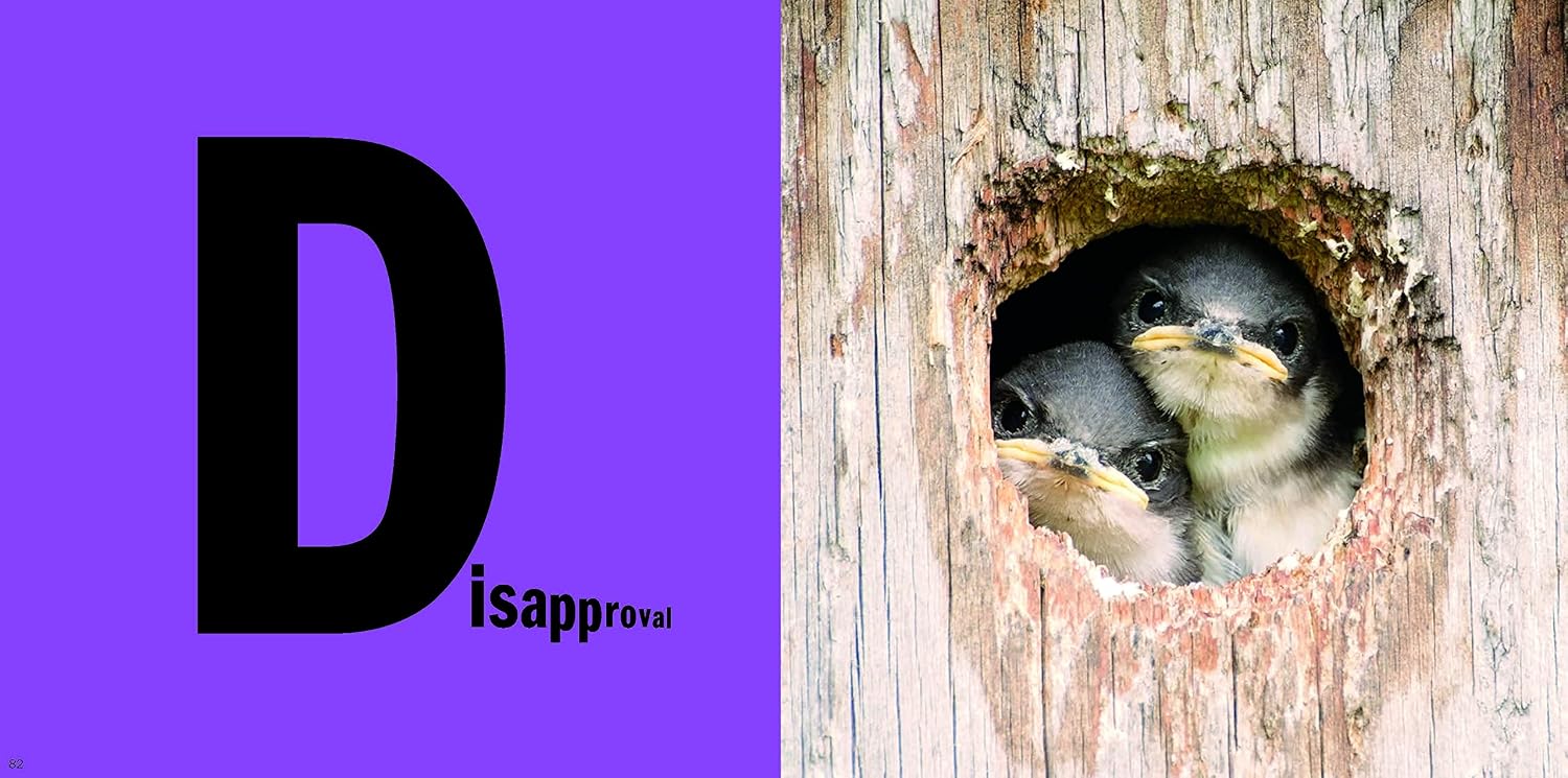 Animals Are People Too: An Adorable Animal Emotion Thesaurus