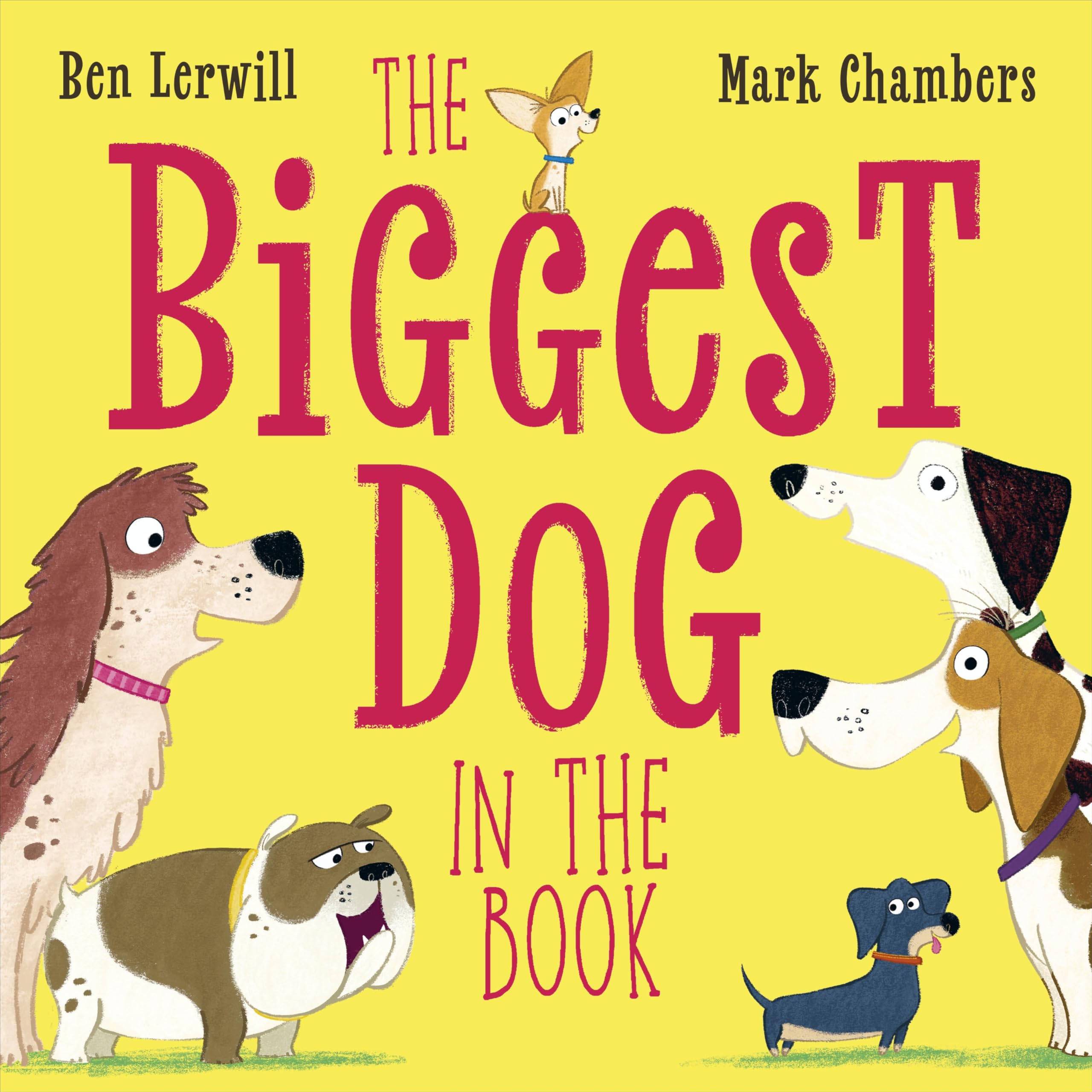 The Biggest Dog in the Book by Ben Lerwill (Paperback Book)