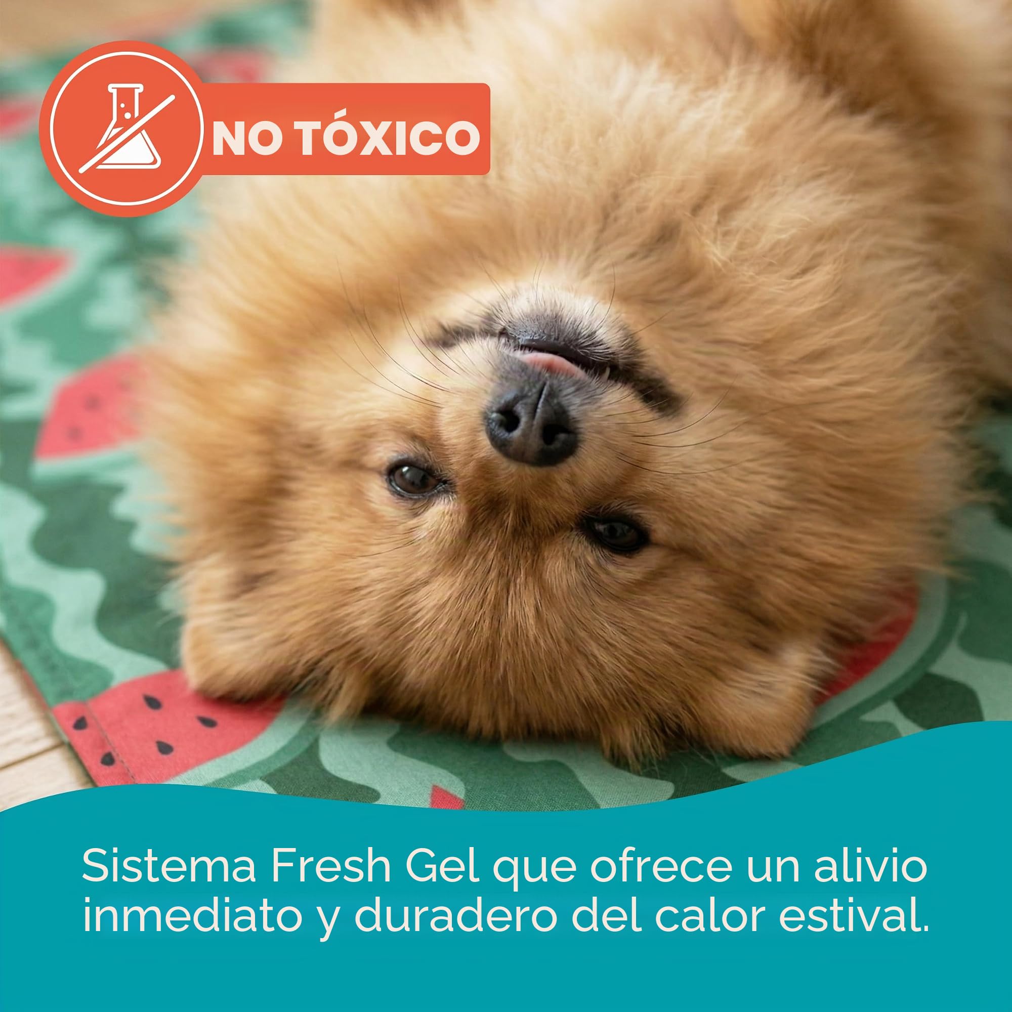 AQPET AqpetFriends - Alfombrilla refrigerante refrescante para Perros, Gatos y Animales, con diseño de Frutas, 60 x 50 cm