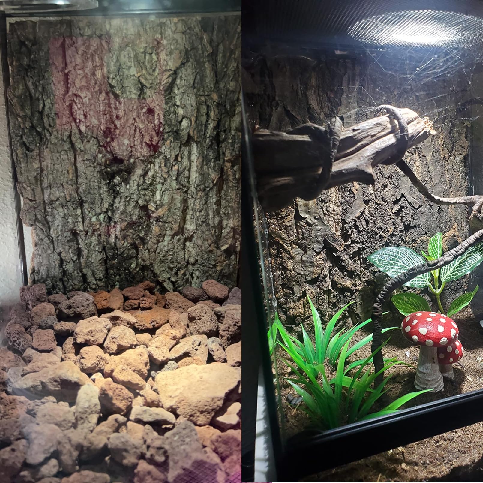 Tfwadmx Tło terrarium z korka 30 cm x 20 cm naturalne tło korka korka tło gad ściana wspinaczkowa terrarium akcesoria dla jaszczurki, żółwia, gekona, brodatego smoka, kameleona