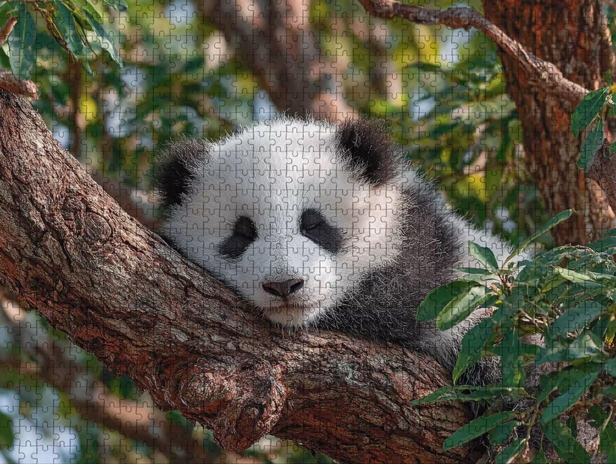 Pianta Puzzle 6000 Pezzi Adulti, Puzzle Legno con Scatola 179x105cm, DIY Giochi Divertenti per Familiar, Idea Regalo Uomo e Donna, Squisita confezione Regalo, Estate Decorazioni Casa, (Panda) R-9978