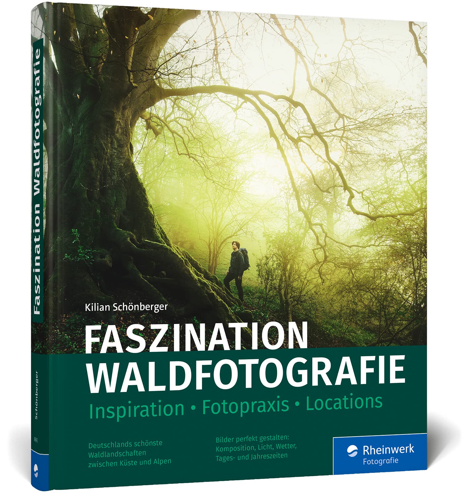 Photographie de forêt et d'arbres : apprenez à capturer des images expressives et intenses