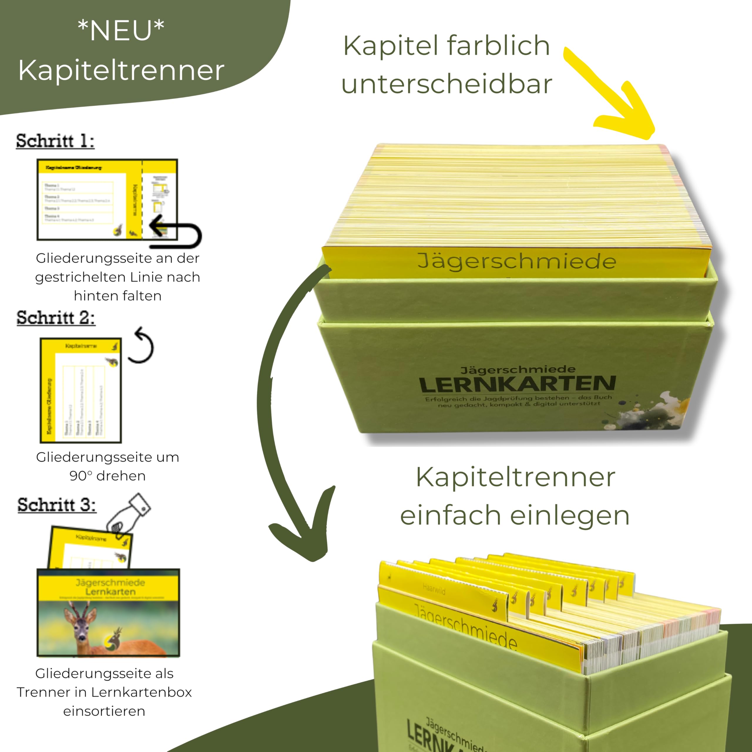 Lernkarten: Erfolgreich die Jagdprüfung bestehen & sicher zum Jagdschein - Das Buch neu gedacht; kompakt & digital unterstützt [Standardwerk]