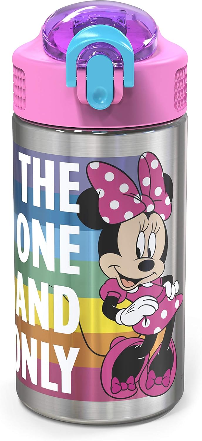 Zak Designs Disney 18/8 Stainless Steel Kids Water Bottle
