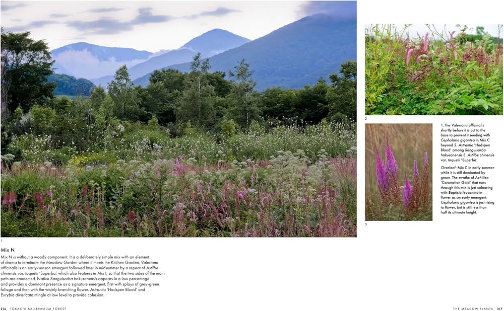 Tokachi Millennium Forest: Pioneering a New Way of Gardening With