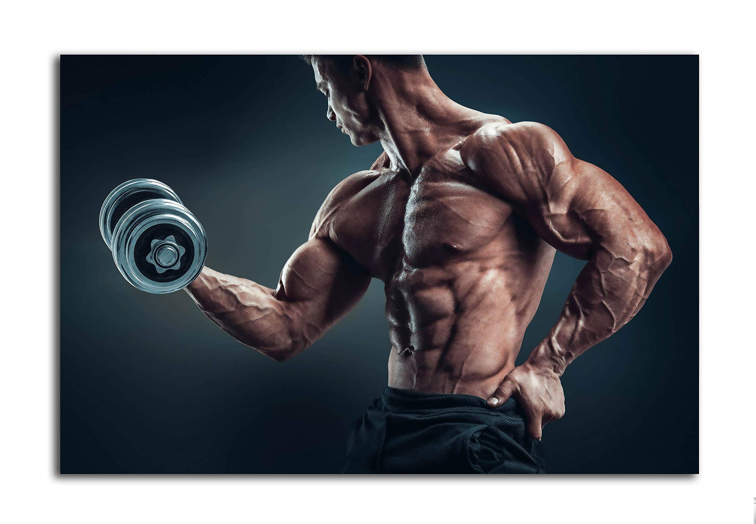 Tamatina Gym Posters - Gym Posters Motivational - Gym Posters for Wall - Gym Posters Large Size – 36 inches x 24 inches (92 cms x 61 cms) – Workout Posters Large - G160 (B07CSS364H) Amazon Price History, Amazon Price Tracker