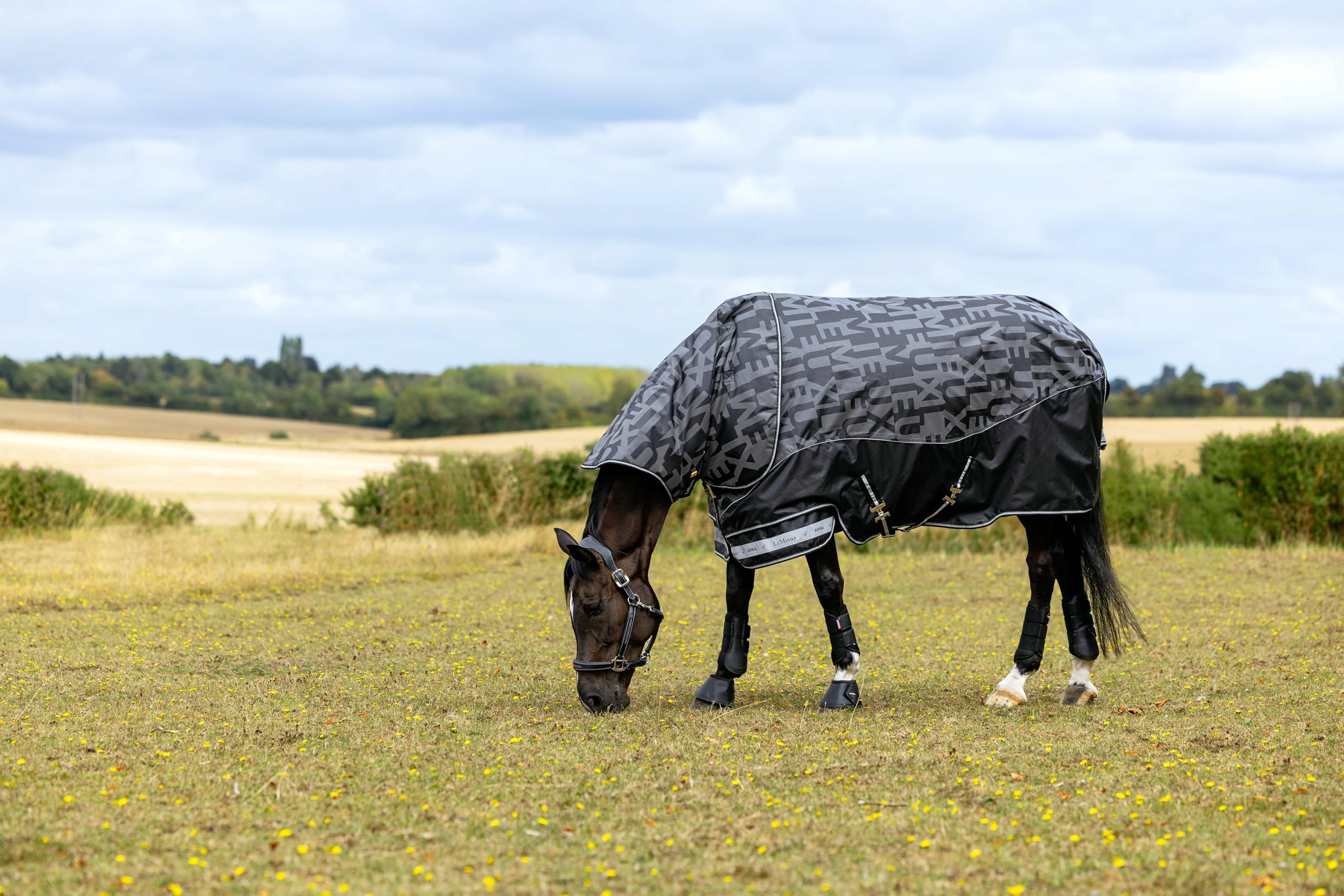 LeMieux Arika Reflective 0g Turnout Rug - 600 Denier Ripstop Outer - 3000mm Waterproof - leak-free Spine - Black - 5ft6