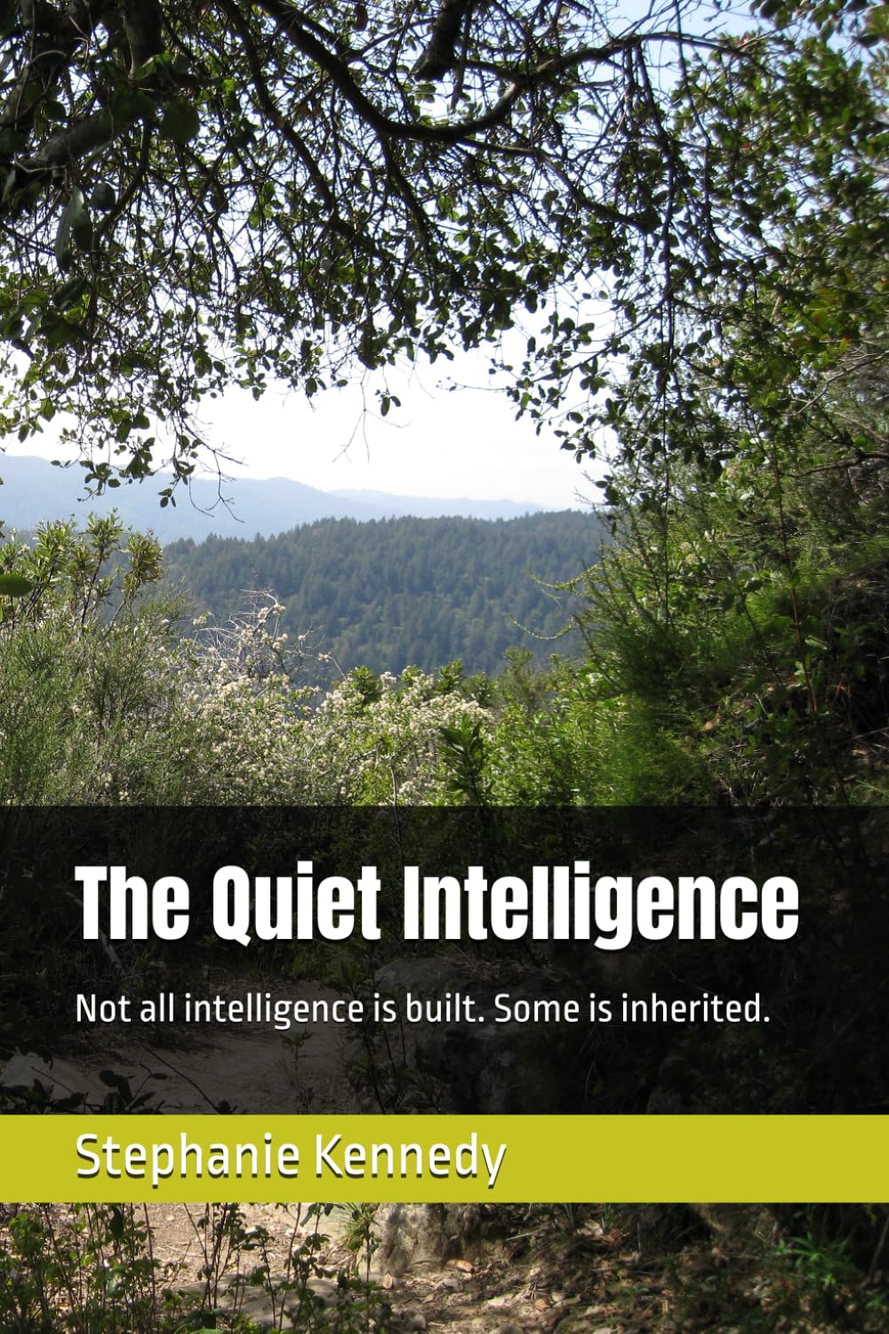 The Quiet Intelligence