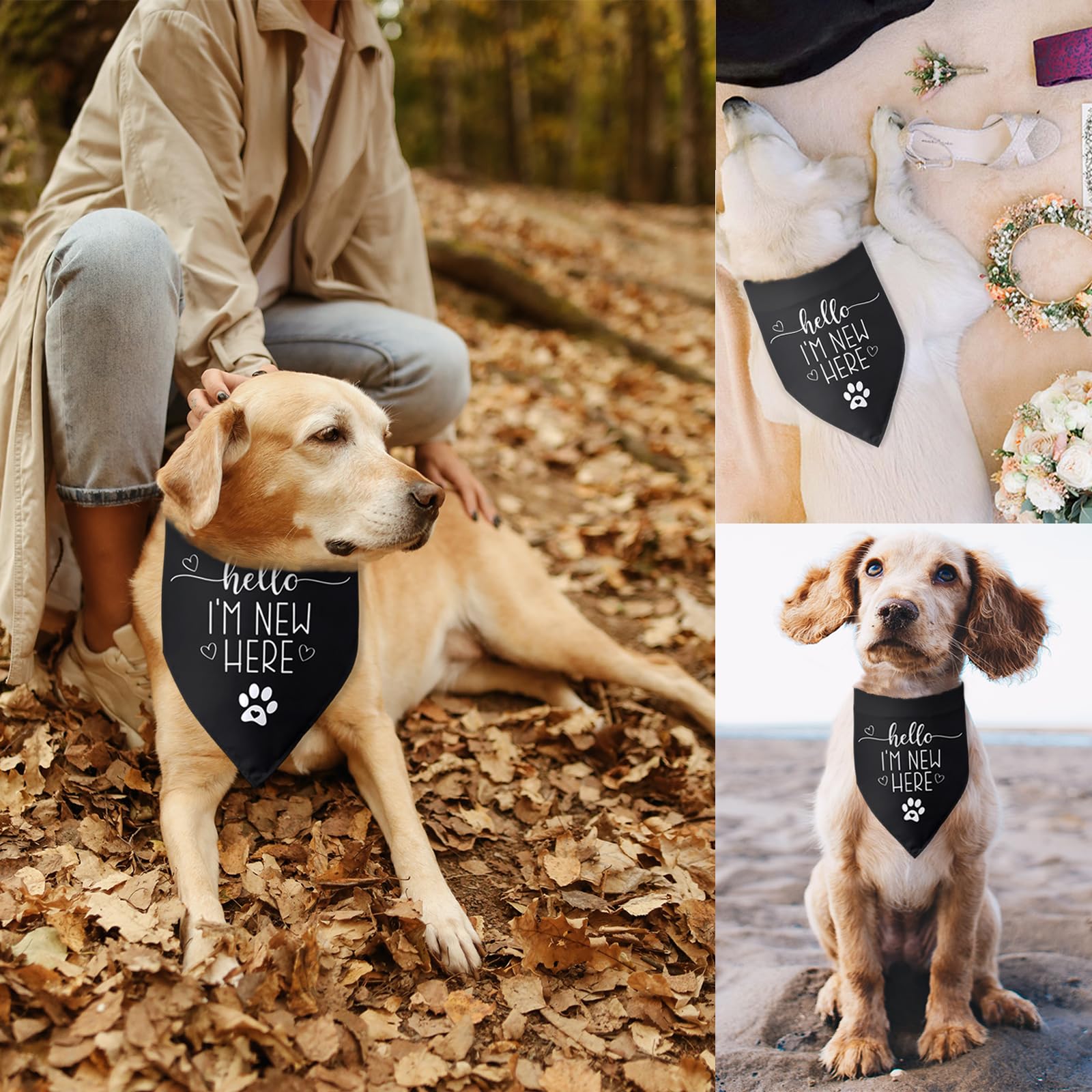 Bandana para perros con texto en inglés «Hello I'm New Here», regalo para nuevos propietarios, bandana para cachorros, regalos para dueños de perros, baberos triangulares, accesorios para perros
