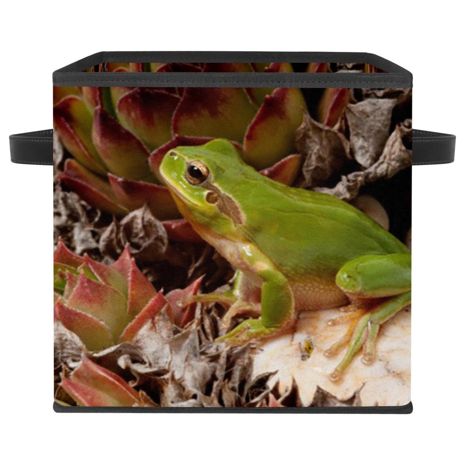 Boîte de rangement grenouille pour organiser la chambre à coucher
