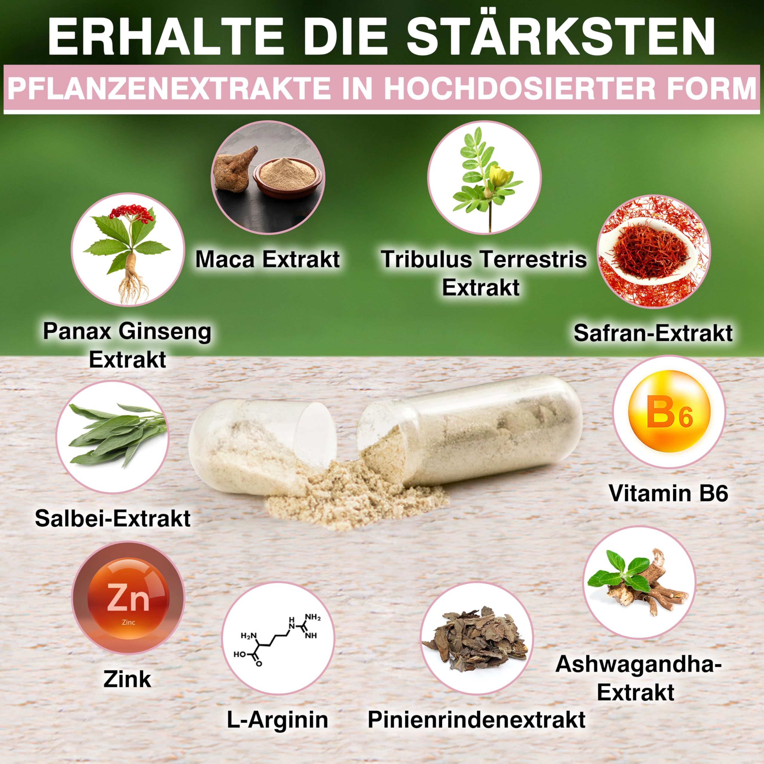 NEU:Libo Booster für die Frau - Hochdosierte & Super Starke Pflanzenextrakte | Optimierte Rezeptur - 90 Kapseln a 750 mg pro Kapsel - Pflanzlich ohne Zusatzstoffe (Packung mit 2)