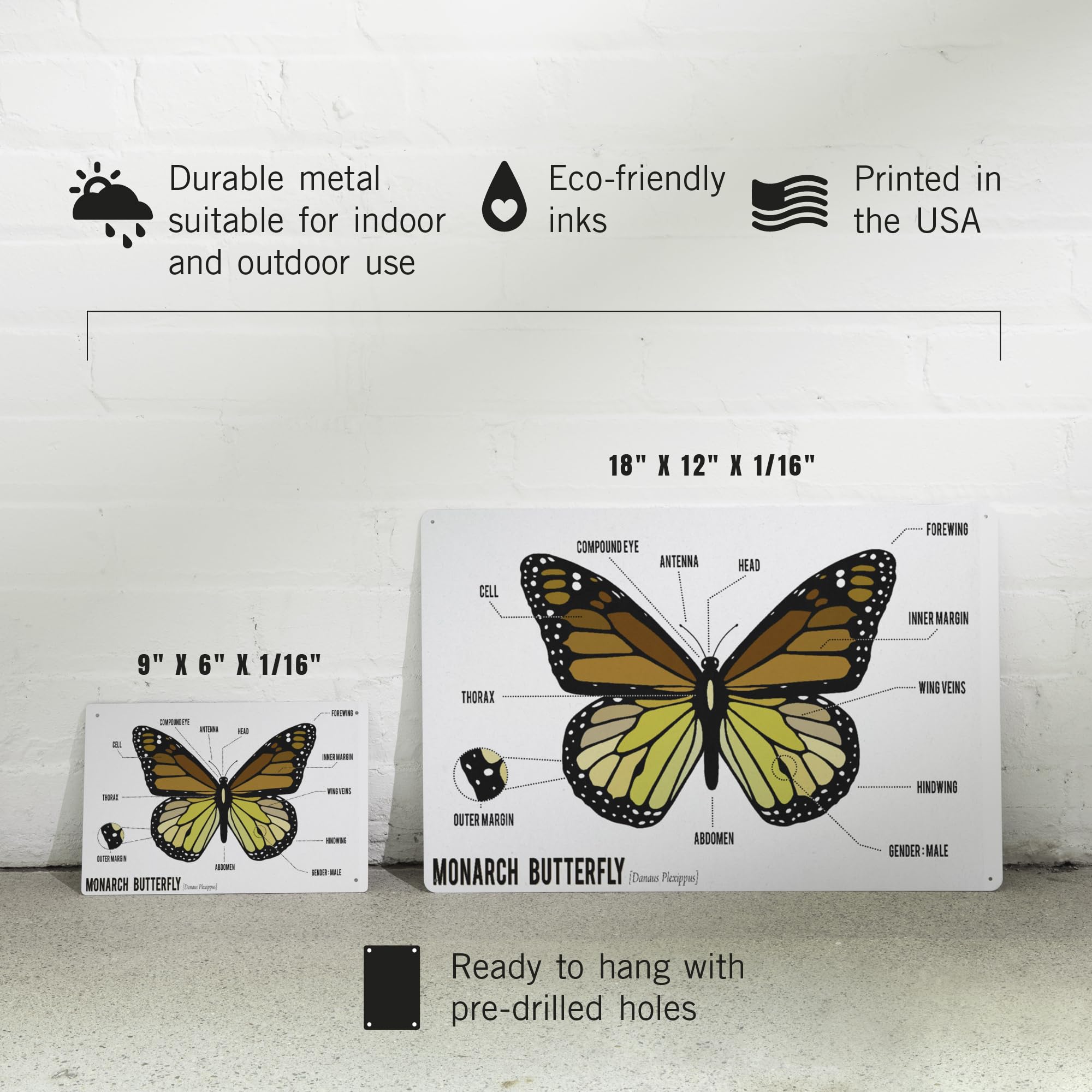 標本用品 Taiwan Dytiscoidae sp.38mm Amazon.com: Lantern Press 12x18 英吋(約30.8 x 18 公分)金屬