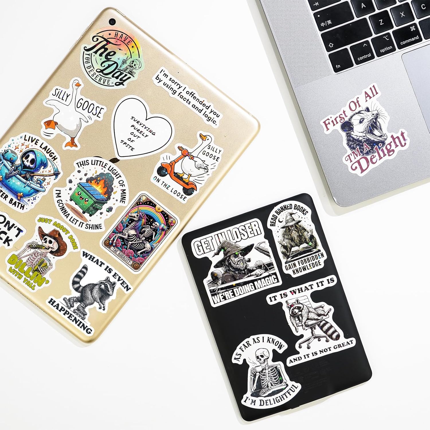 200 PCS Funny Holographic Stickers for Adults, Waterproof Vinyl Sarcastic Meme Decals for Laptop, Water Bottle, Phone, Kindle, Journal, Scrapbook, Bumper, Skateboard, Luggage, No Repeats - Image 7