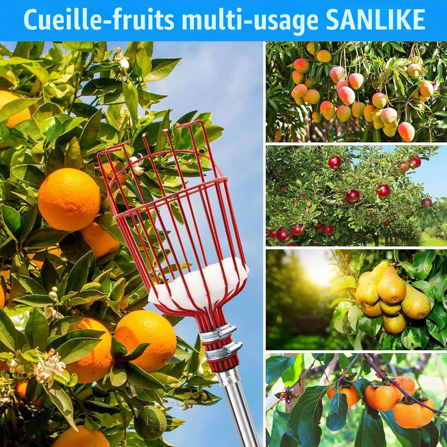 SAN LIKE Perche Cueille Fruit Telescopique 4 M, Cueilleur de Fruits avec Manche Telescopique, Fruit Picker Peigne à Olive Peigne pour Ramasser les Olives, Pommes, Poires, Pêches, Avocats