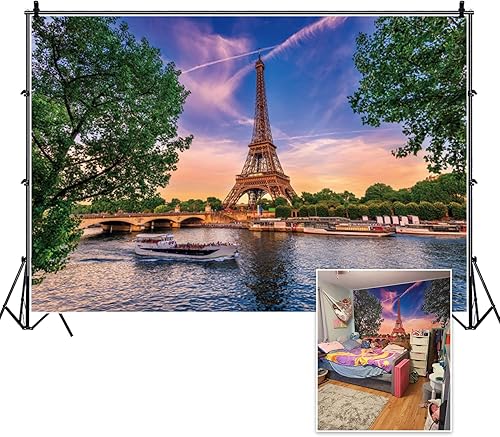 Miniatura 5 de Telón de fondo de la Torre Eiffel de París, paisaje urbano de París, puente de sol, lago, vacaciones al aire libre, fotografía, fondo de luna de