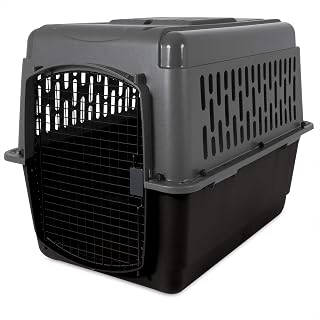 Petmate Aspen Pet Porter Dog Kennel Crate - Durable Hard-Sided Travel Carrier, Multiple Sizes, Airline Approved, Made in USA