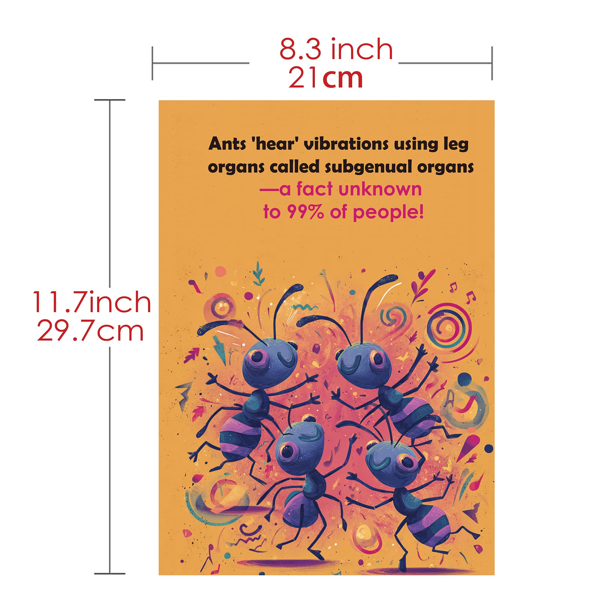 View 6