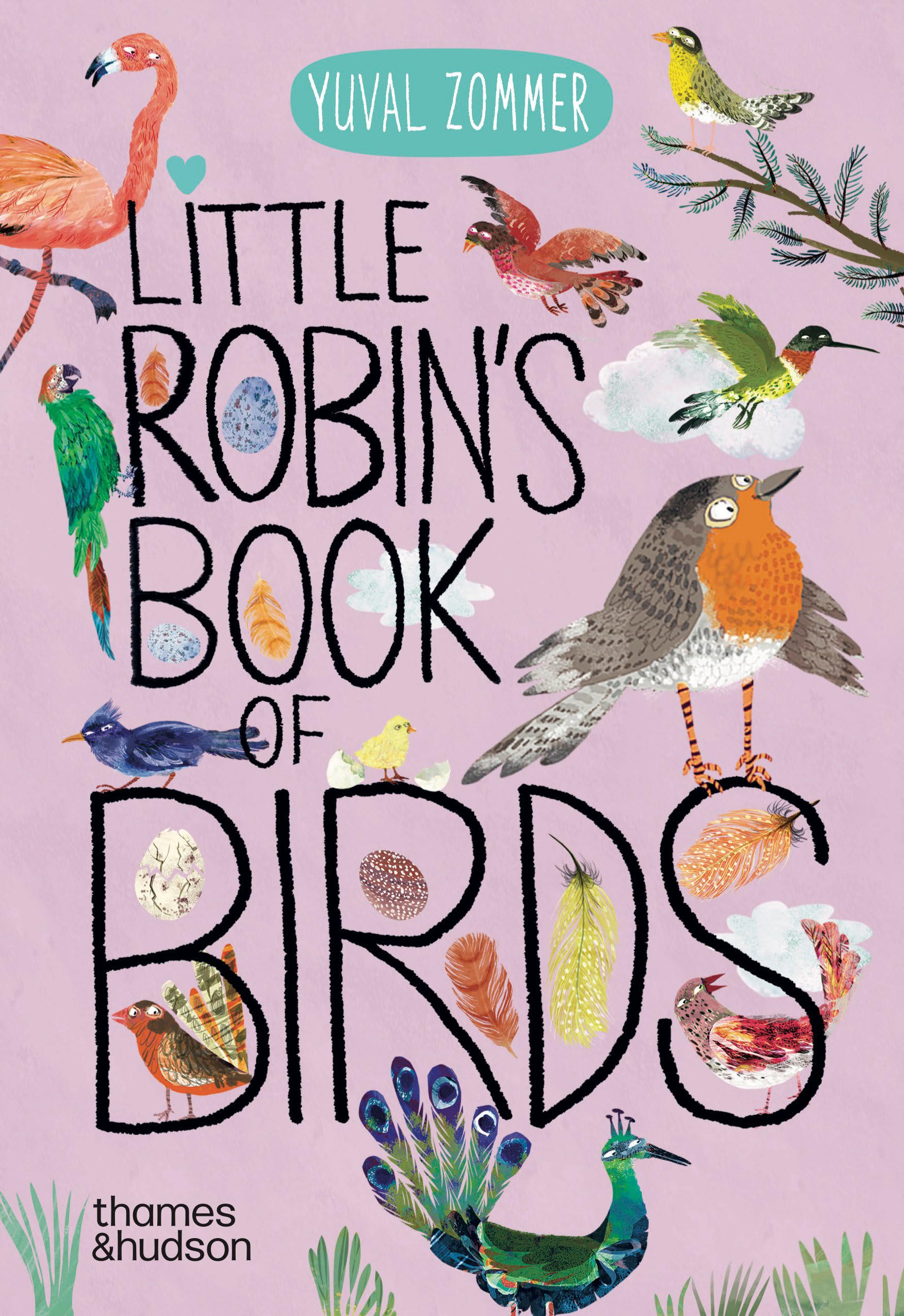 Little Robin's Book of Birds (Big Book of...)