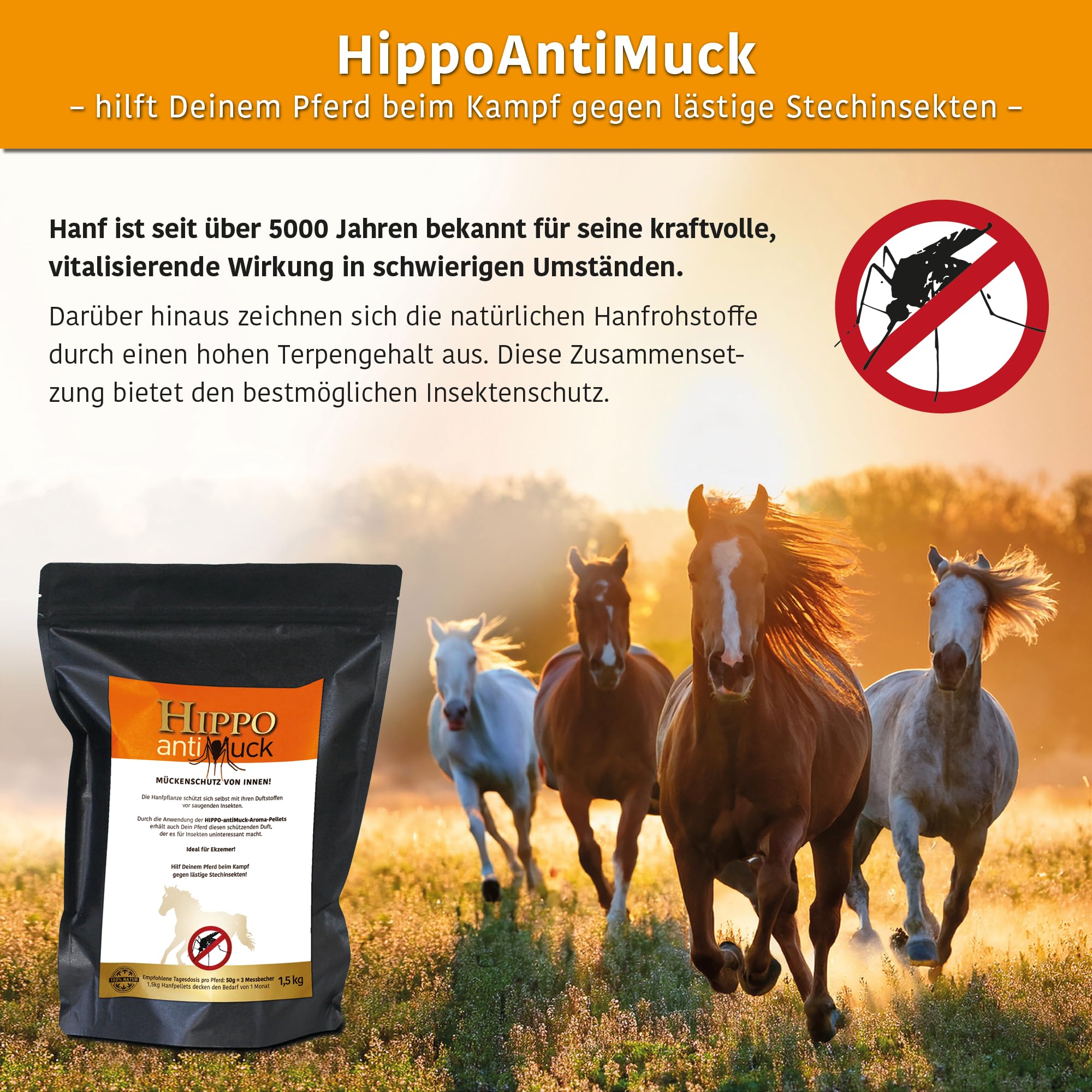 antiMuck Hanfpellets für Pferde – natürlicher Mückenschutz von innen – reich an Hanfterpenen für schützenden Duft – sehr einfache Anwendung während der Mückensaison