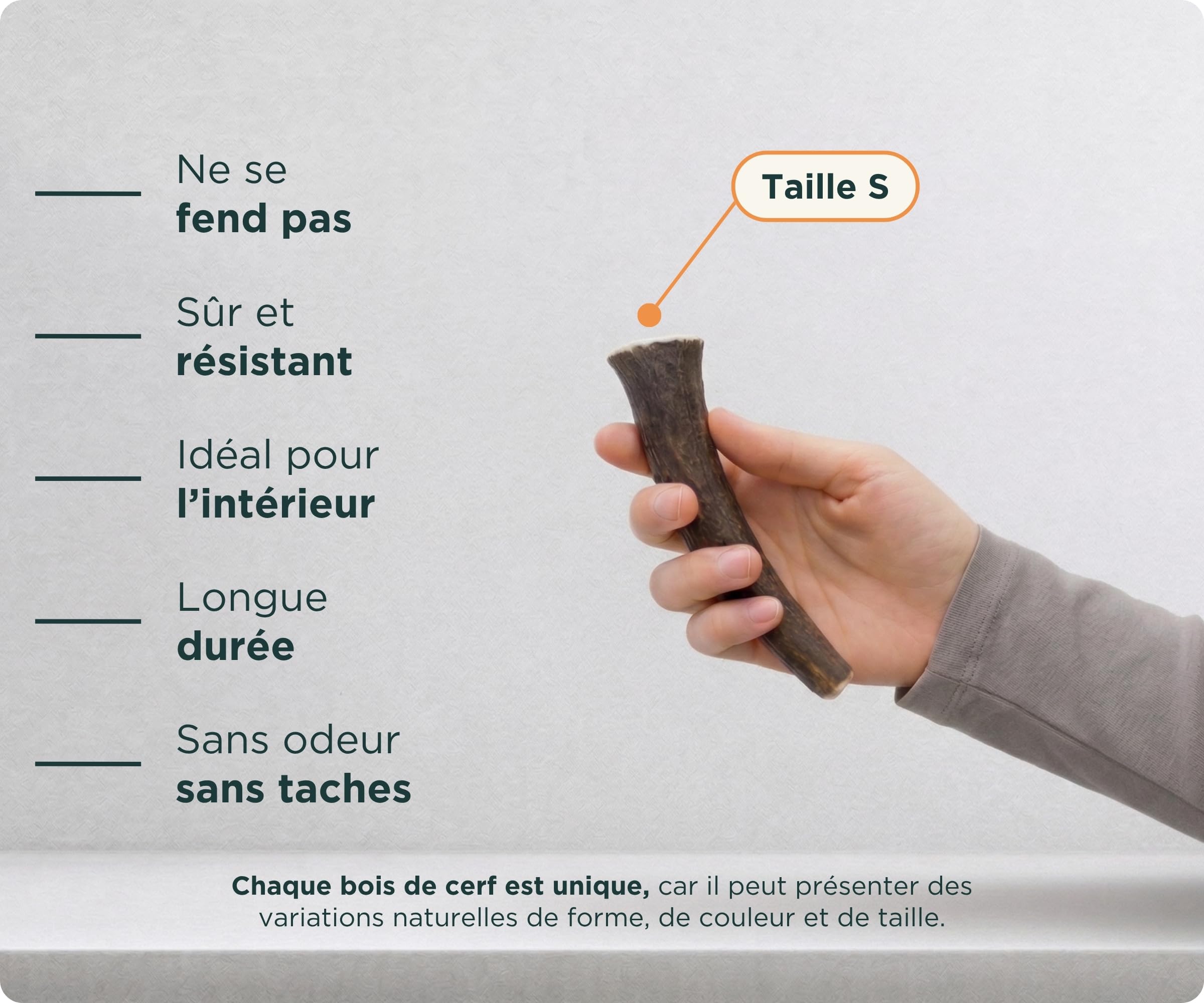 Wolf Belly - Bois de Cerf pour Chiens 100% Naturel (Taille S) Corne Durable et Résistante | Réduit Tartre et Plaque | Riche en Calcium et Protéines | Calme Stress | Inodore - Fabriqué en Europe