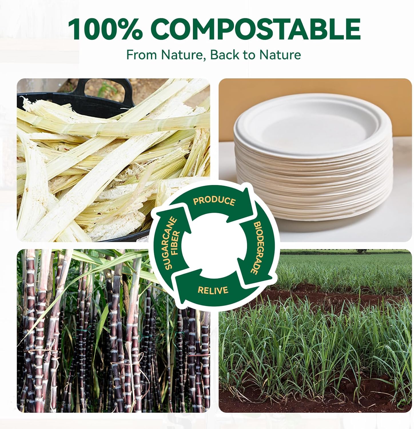 JOLLY CHEF 100% Compostable Small Paper Plates, 200 Pack 6 Inch Heavy Duty Dessert Plates, Disposable Biodegradable Eco-Friendly Sugarcane, Bulk White - Image 3