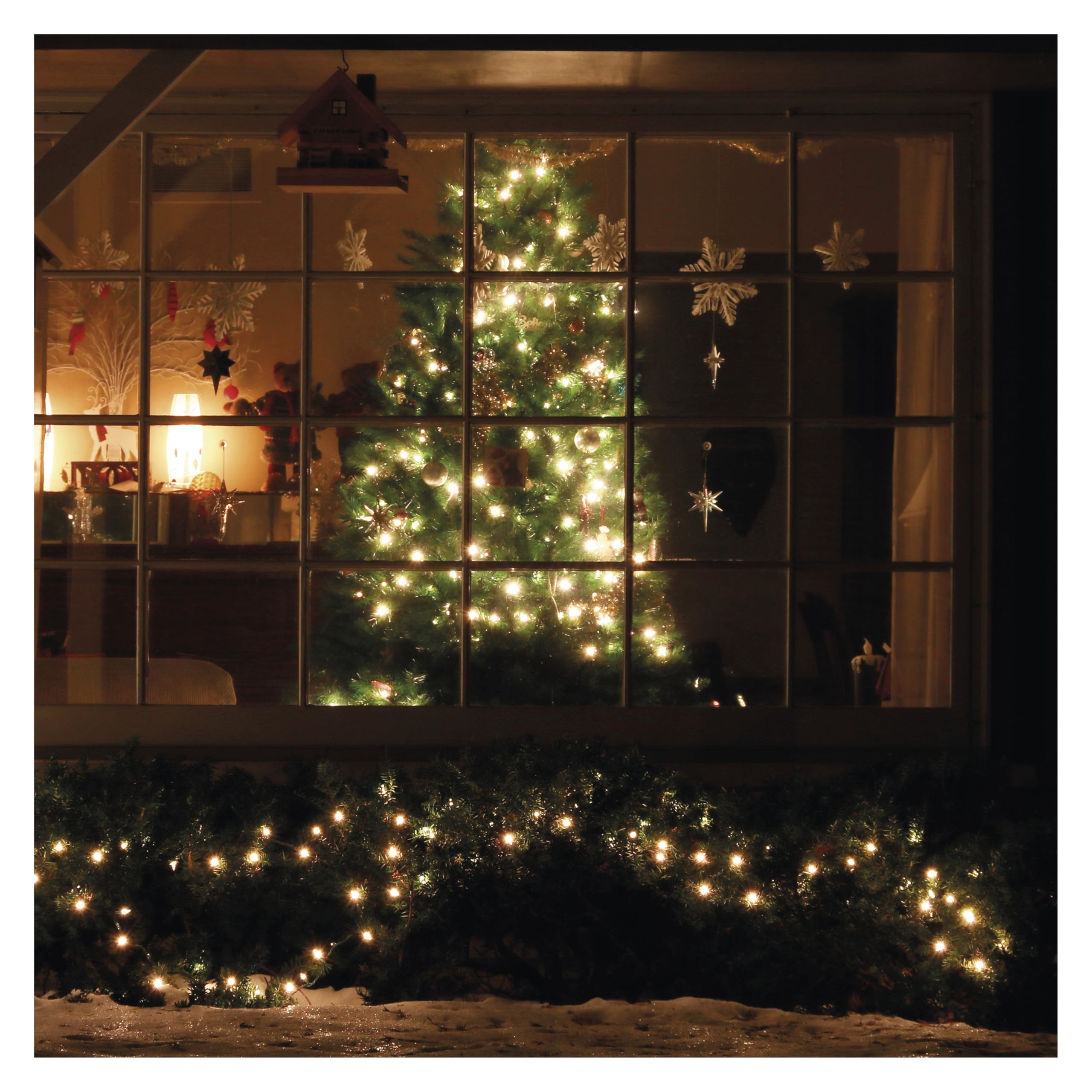 EMOS - LED-Lichterkette mit 300 LEDs in Kugelform, warmweiß - 30m Weihnachtslichterkette für Partys, Weihnachten, Deko - 8 Lichtmodi, 6h Timer, Netzteil, 5m Zuleitung, grünes Kabel - für Haus & Garten