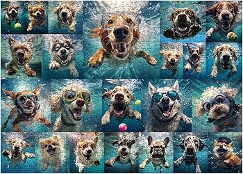 81G9Gu1m5RL._AC_UF350,