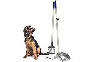 Spotty Premium Wood Handle Leaf Pooper Scooper