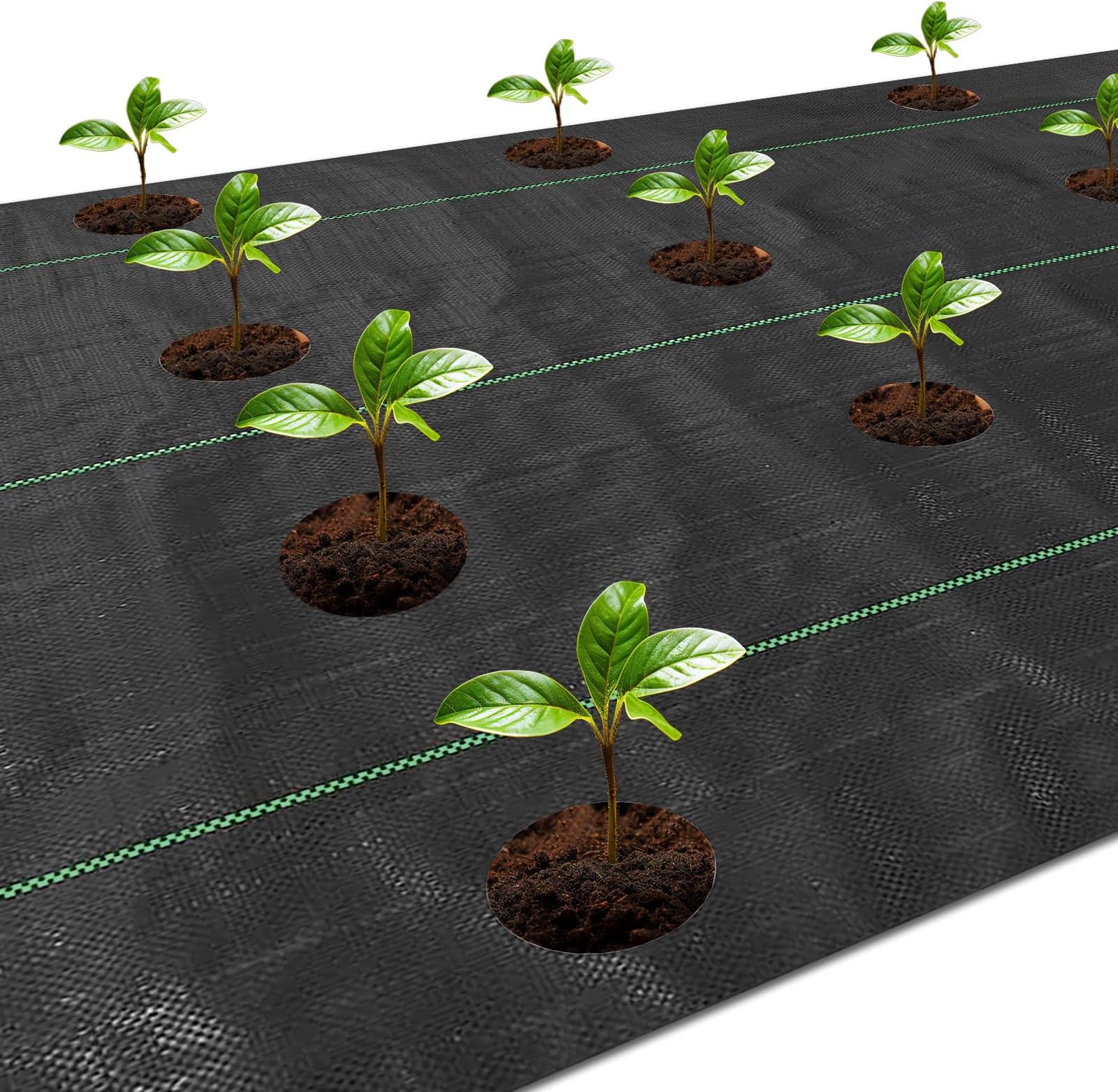 Weed Barrier Landscape Fabric with 3'' Planting Holes,Garden Weed Barrier Fabric 3.3 Ft X 11.8 Ft Heavy Duty Weed Block Gardening Mat Soil Erosion Control and UV Stabilized (2, Black)