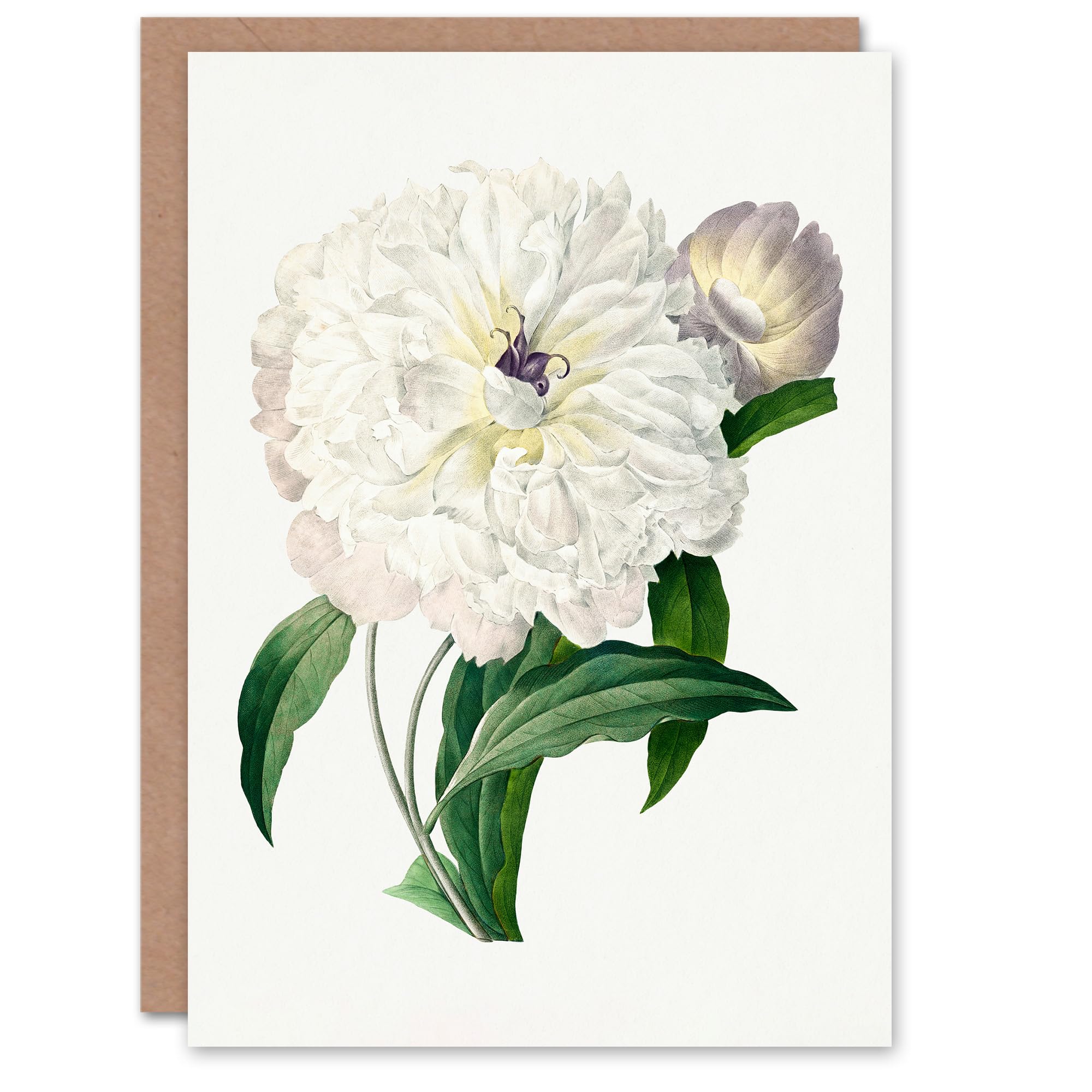 Artery8 Pierre-Joseph Redouté Art Card Vintage Peony Flower Illustration