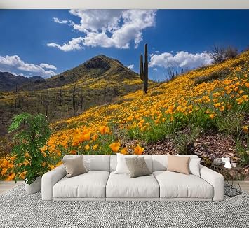 Modern Peel and Stick Wall Mural Wallpaper Field California Golden Blooming Hill Saguaro Cactus Bush Highway Self Adhesive Removable Wall Stickers for Living Room Bedroom TV Background 100"x144"