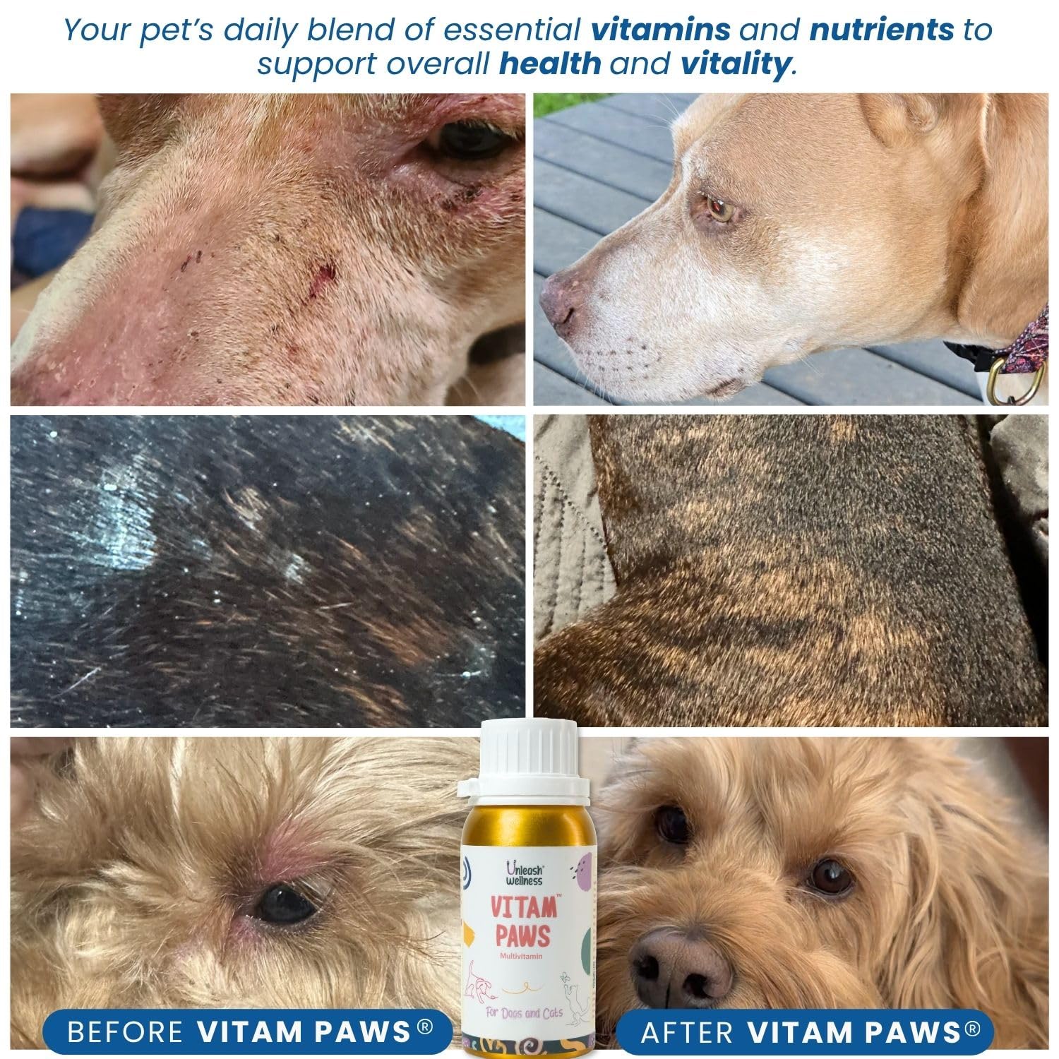Unleash Wellness® VITAM Paws® 200 ML, Multivitamin for Dogs and Cats with Minerals & Omega, Supports Skin, Heart, Brain Health & Immunity Growth, Daily Supplement Suitable for All Breeds & Sizes 1