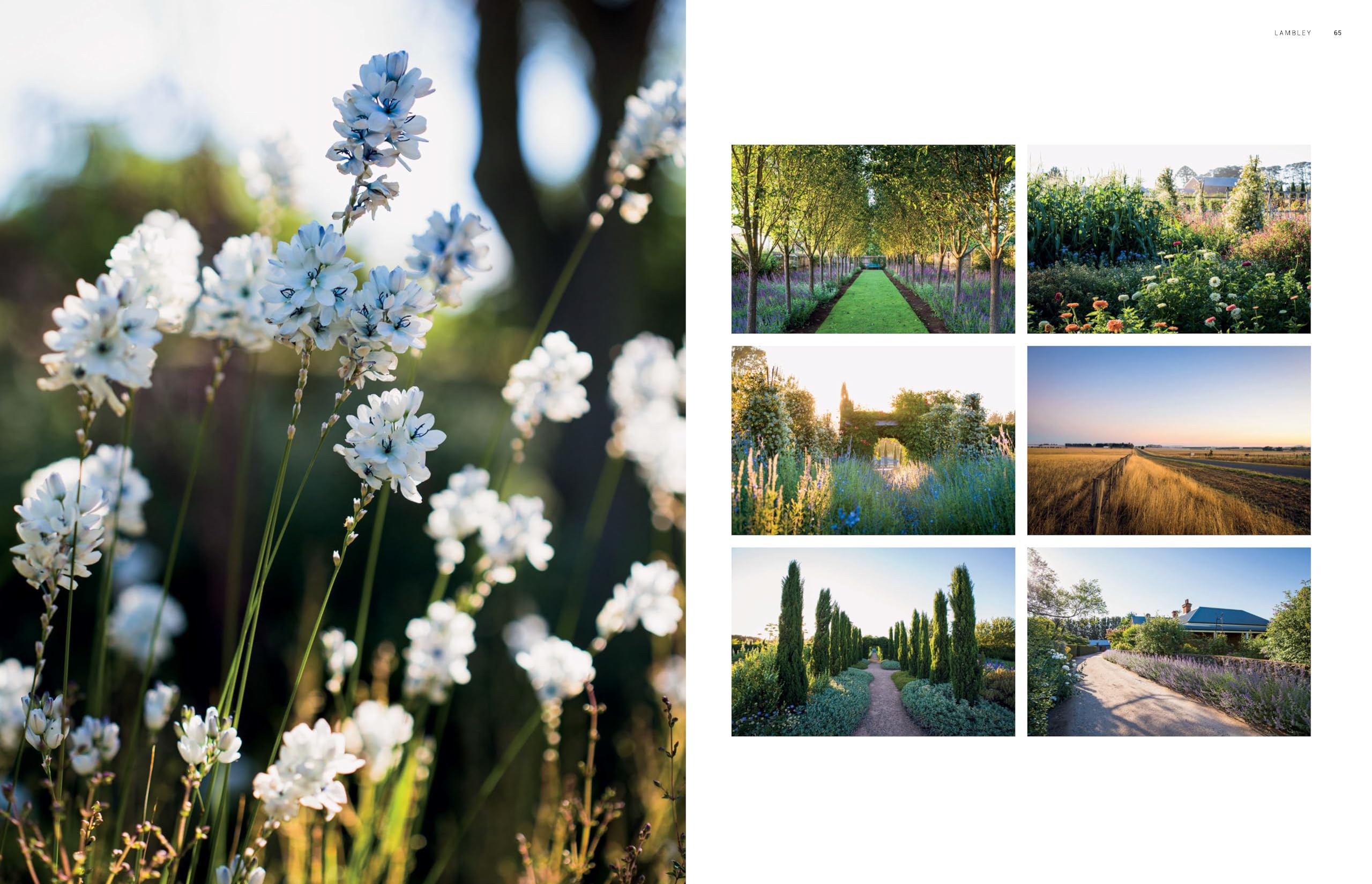 Dreamscapes. Inspiration And Beauty In Gardens Nea: Inspiration and beauty in gardens near and far