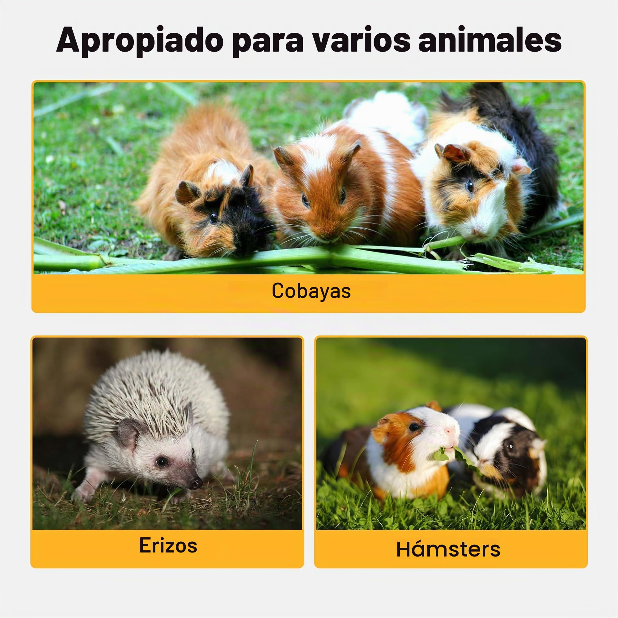 Jaula Caseta Madera hámster roedores Animales pequeños ratón Tipo casa con Cierre abatible