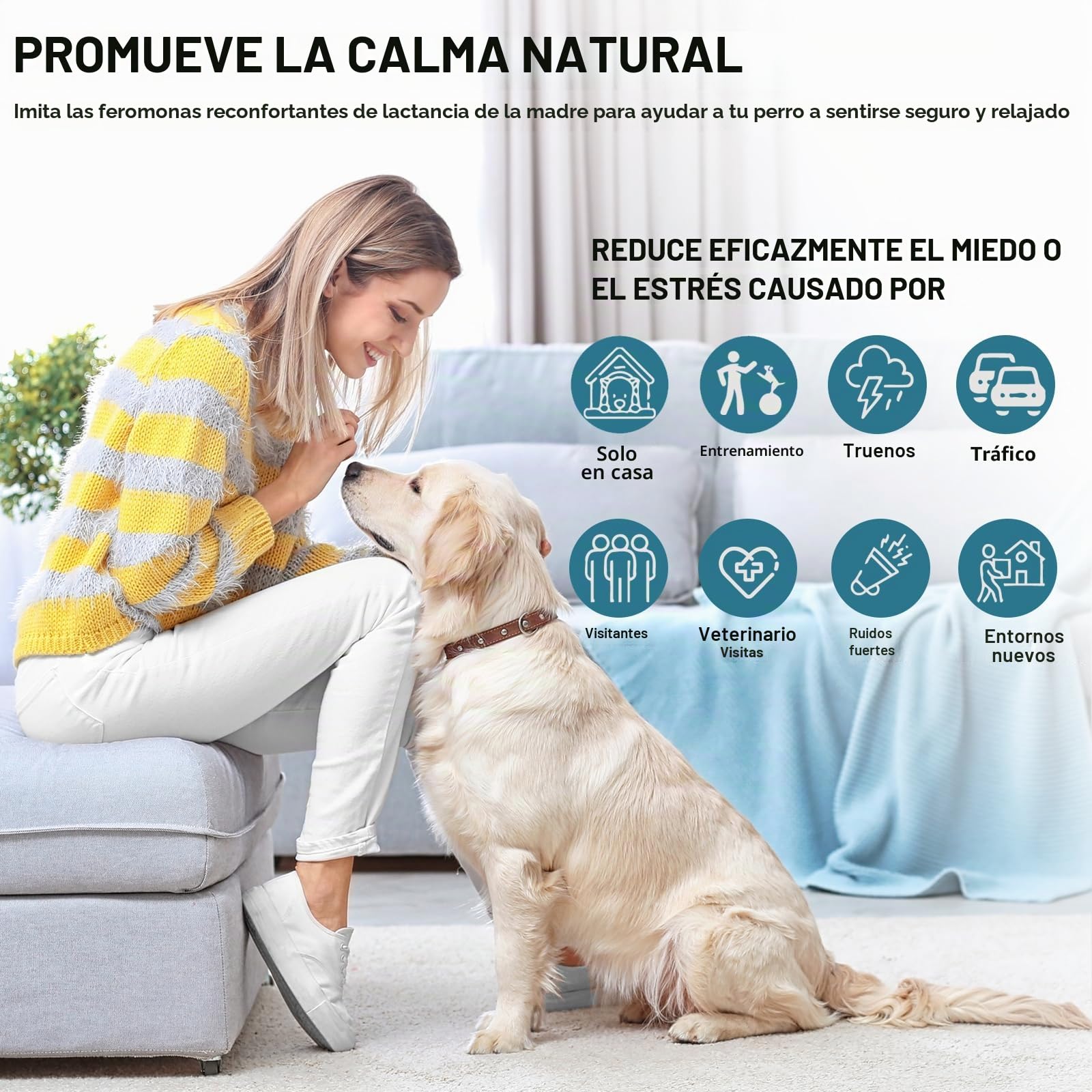 JJW Kit Difusor de Feromonas Calmantes para Perros - 1 Difusor + 4 Recargas de 48ml | Reduce Ansiedad, Estrés y Miedo | Efecto Calmante para Tormentas, Viajes y Entornos Nuevos (Azul, M)