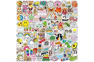 100PCS Aesthetic VSCO Stickers Under $5