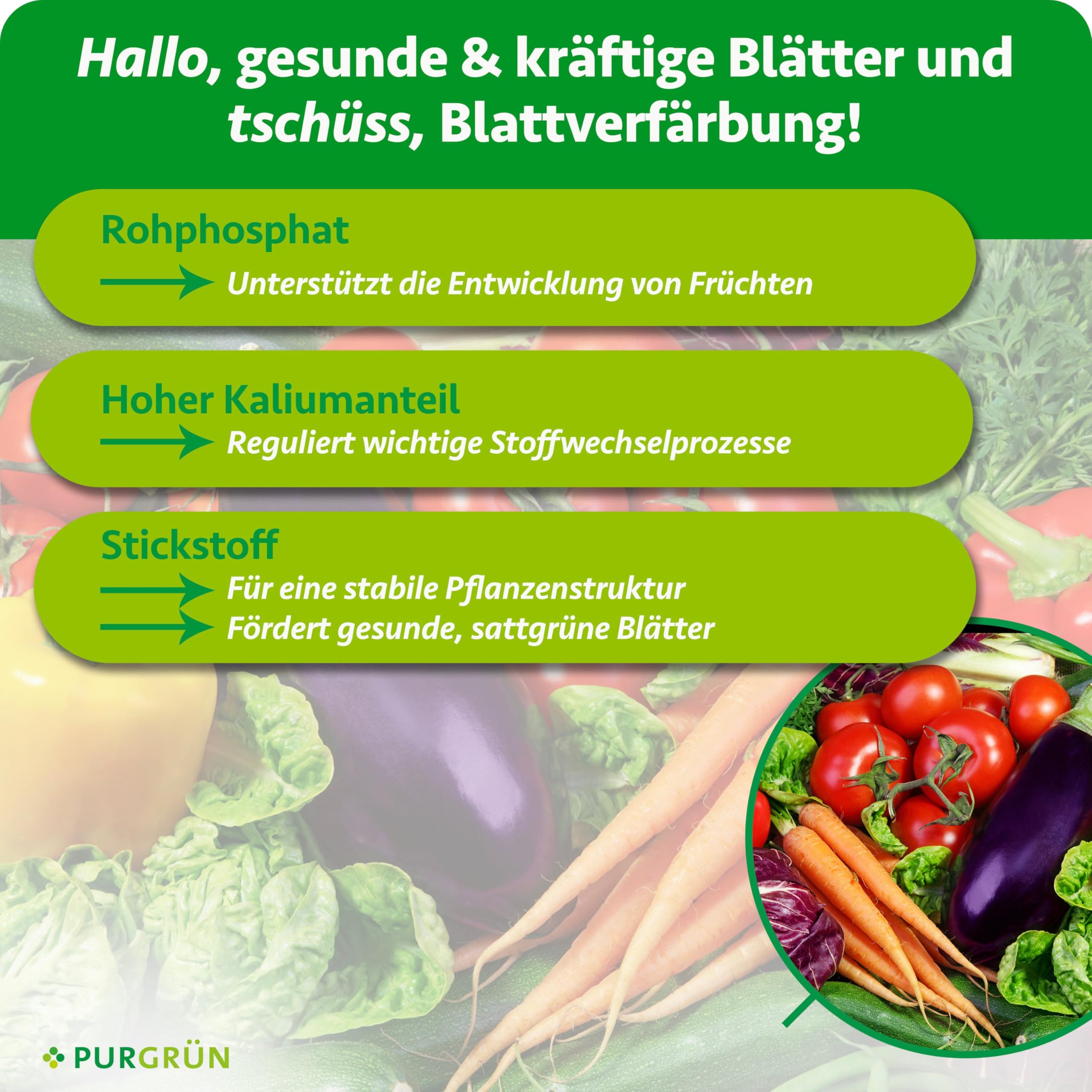 Bio-Gemüsedünger 1 Liter – Hoher Ertrag dank extra Phosphor – Bio & Vegan – Premium-Flüssigdünger – Ohne tierische Inhaltsstoffe – Ergiebiges Konzentrat für 100 Liter Wasser