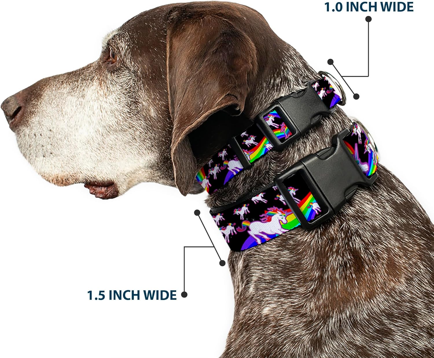 Dog Collar Plastic Clip Unicorns Rainbow Swirl Black 16 to 23 Inches 1.5 Inch Wide