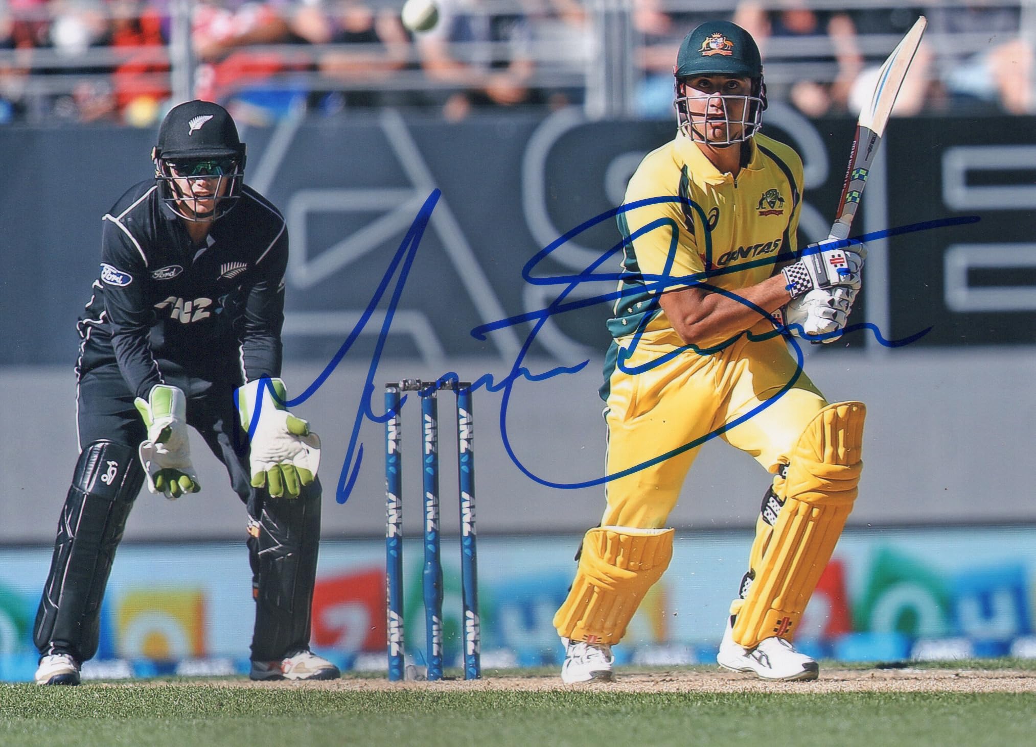 5x7 Inches Original Autographed Photo of Australian Cricketer Marcus Stoinis.-image-36