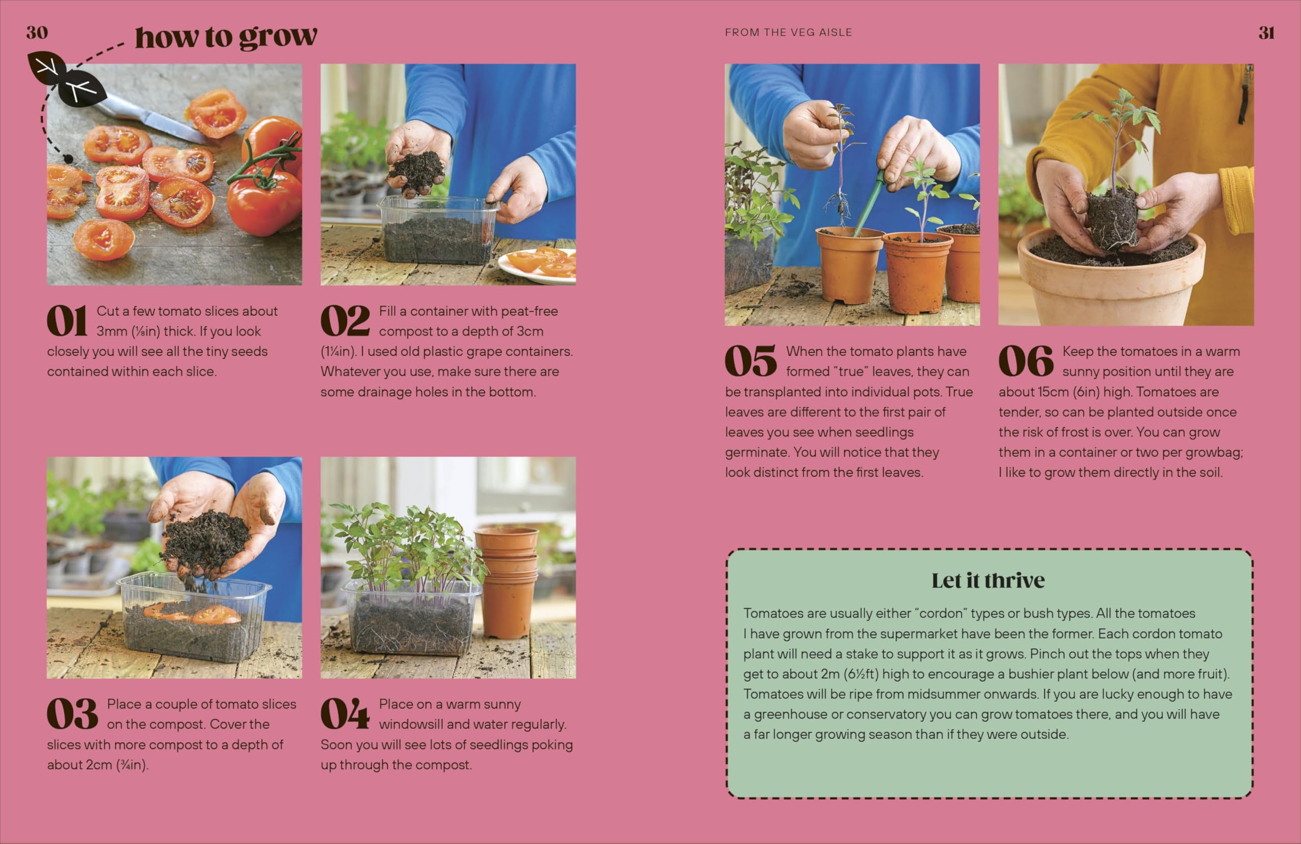 Grow Your Groceries: 40 Hacks for Growing Plants from Your Weekly Shop: A SUNDAY TIMES BESTSELLER