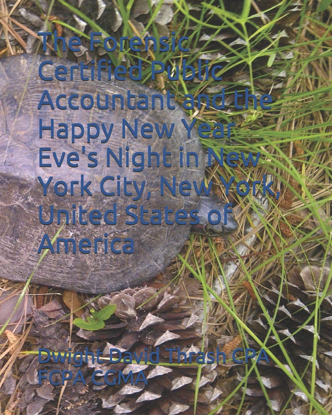 The Forensic Certified Public Accountant and the Happy New Year Eve's Night in New York City, New York, United States of America: 5