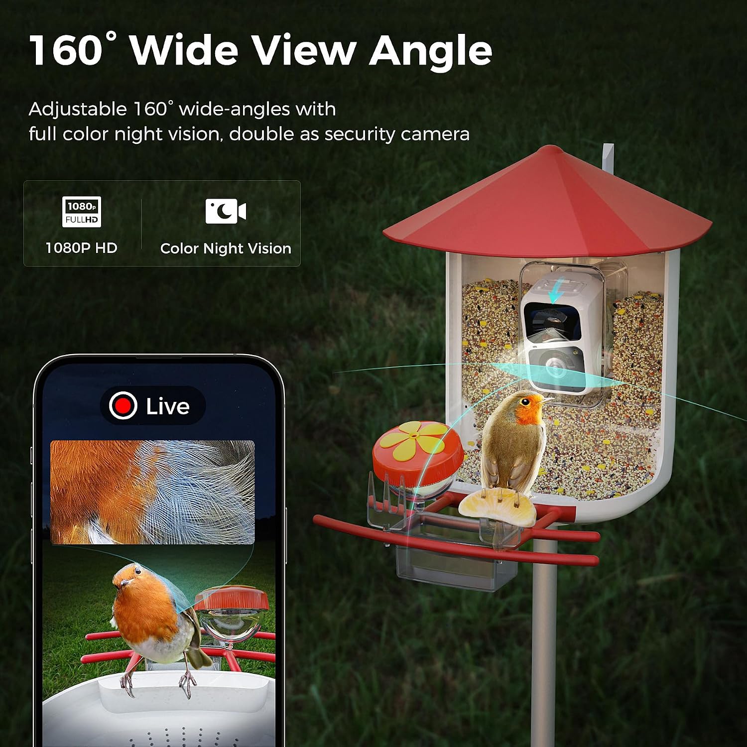 Smartphone screen showing a 160-degree wide view from the bird feeder camera with 1080P HD and color night vision icons.