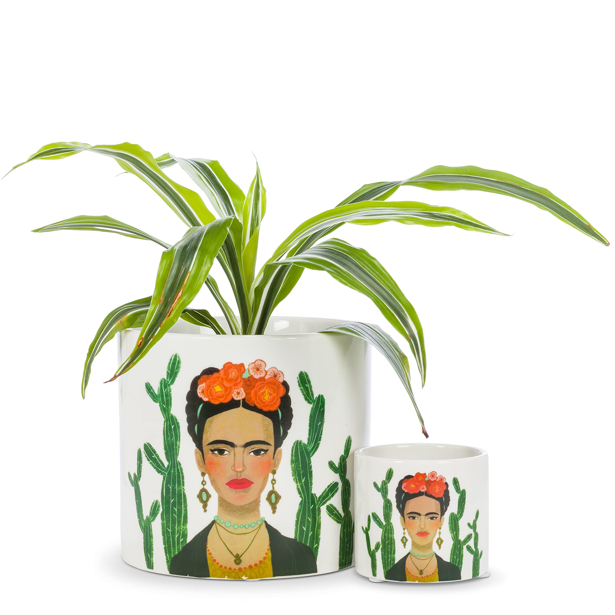 メキシコ植木鉢 メキシコ 植木鉢 Mexican planter - Etsy 日本