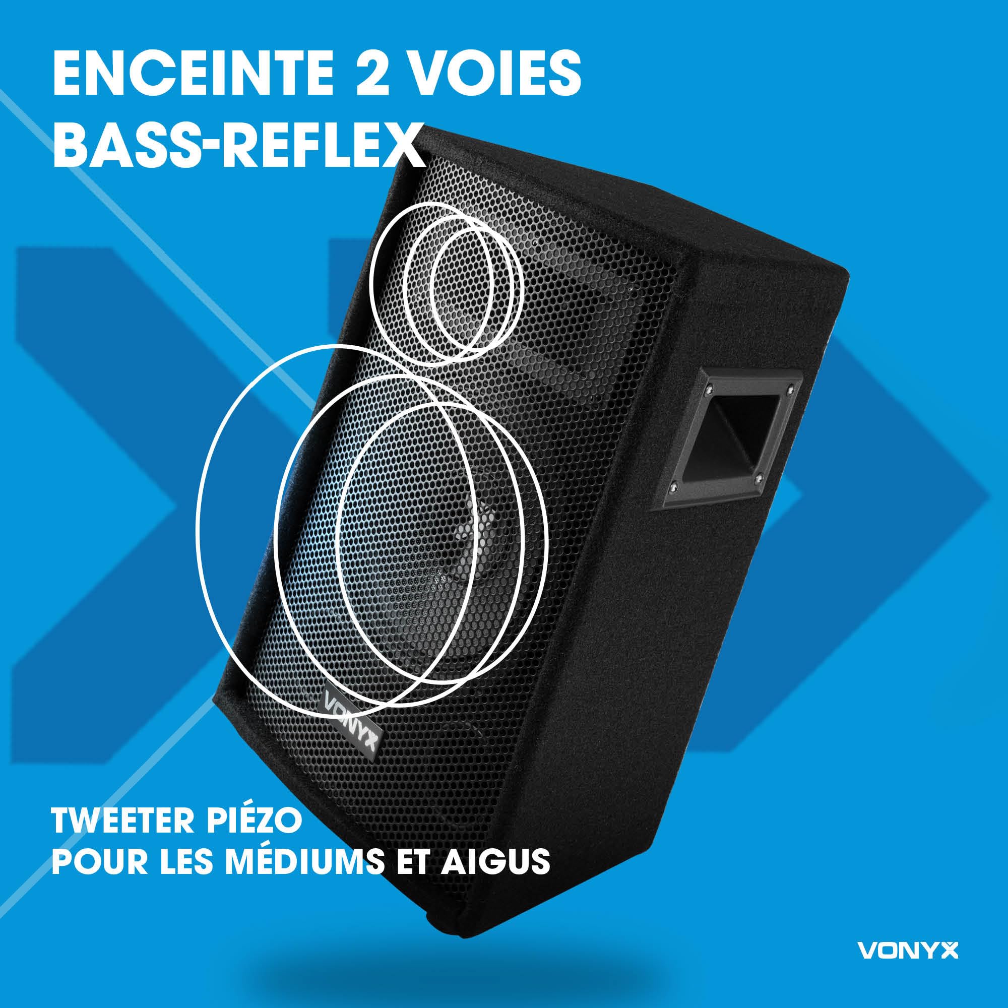 VONYX SL10 Enceinte Sono Passive, Puissance de 500 Watts, Woofer 10 Pouces, Facile à Transporter avec Ses Poignées, Montage sur Pied, Enceinte Sono Idéale pour DJ Mobiles et Soirées à la Maison